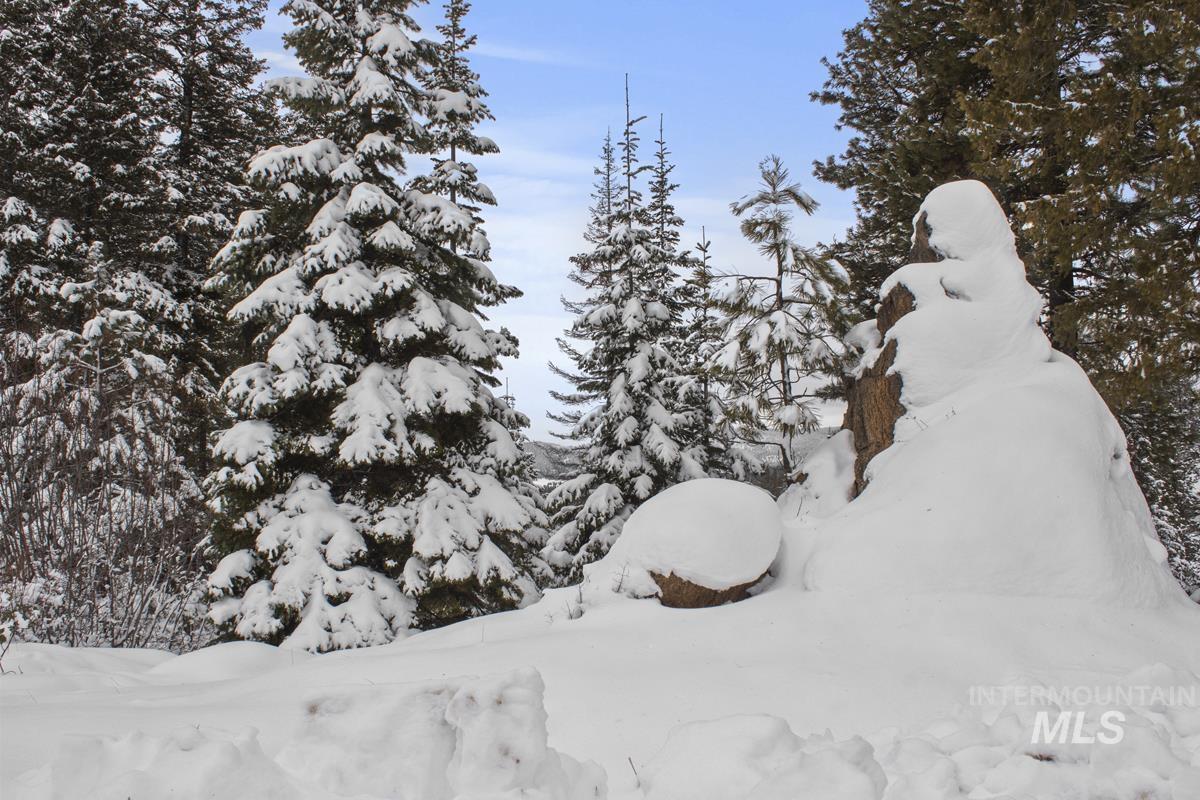 16 Sarah Way, Cascade, Idaho 83611-9999, Land For Sale, Price $165,000,MLS 98971576