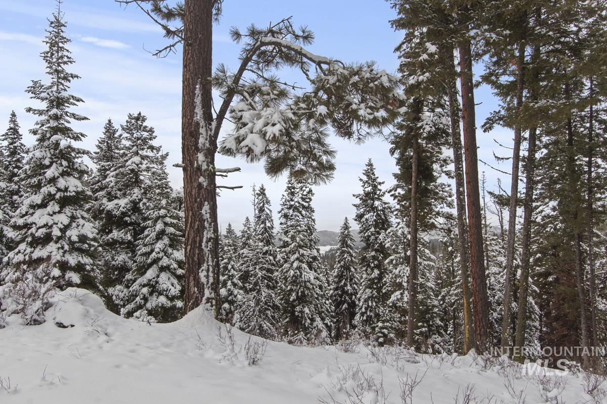 16 Sarah Way, Cascade, Idaho 83611-9999, Land For Sale, Price $145,000, 98971576