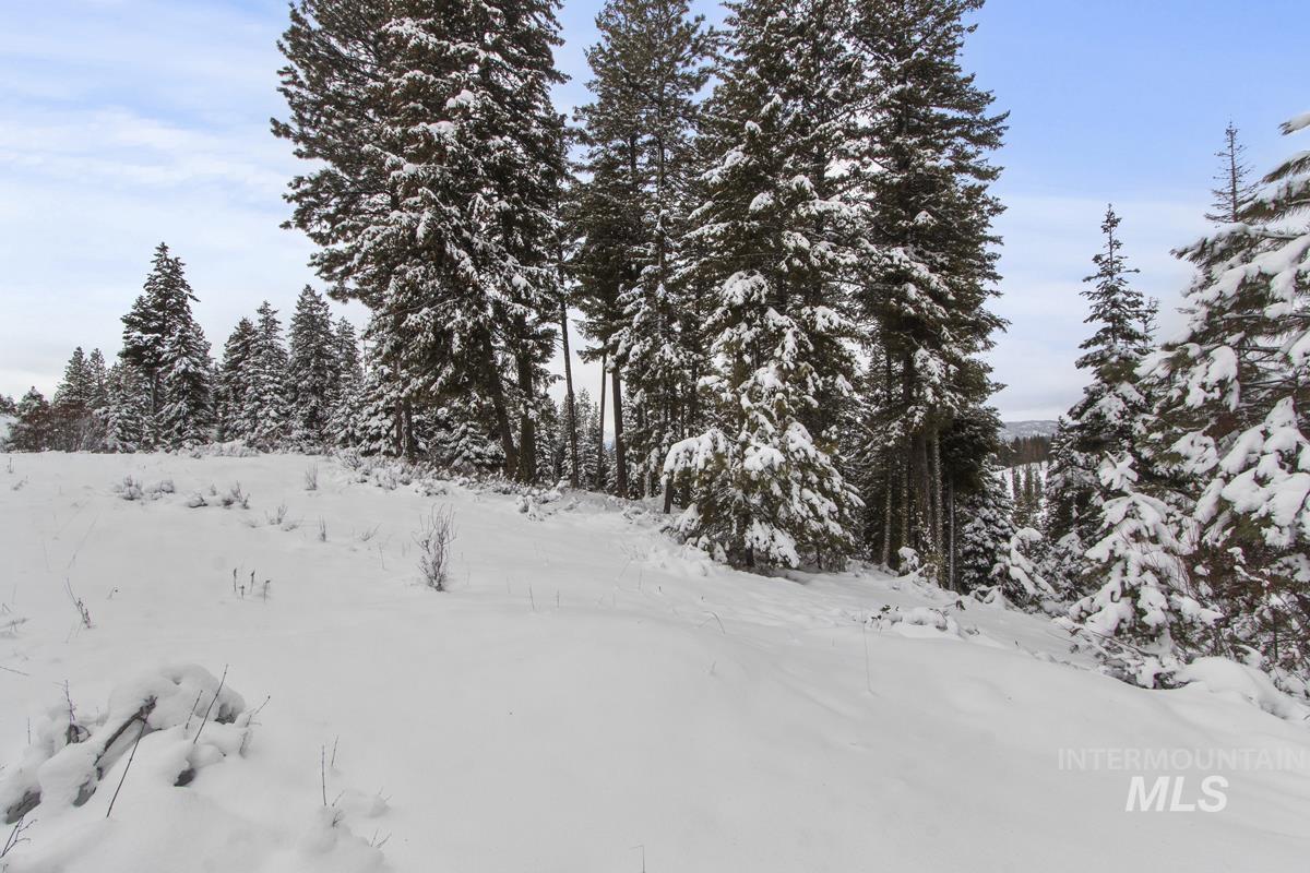 16 Sarah Way, Cascade, Idaho 83611-9999, Land For Sale, Price $165,000,MLS 98971576