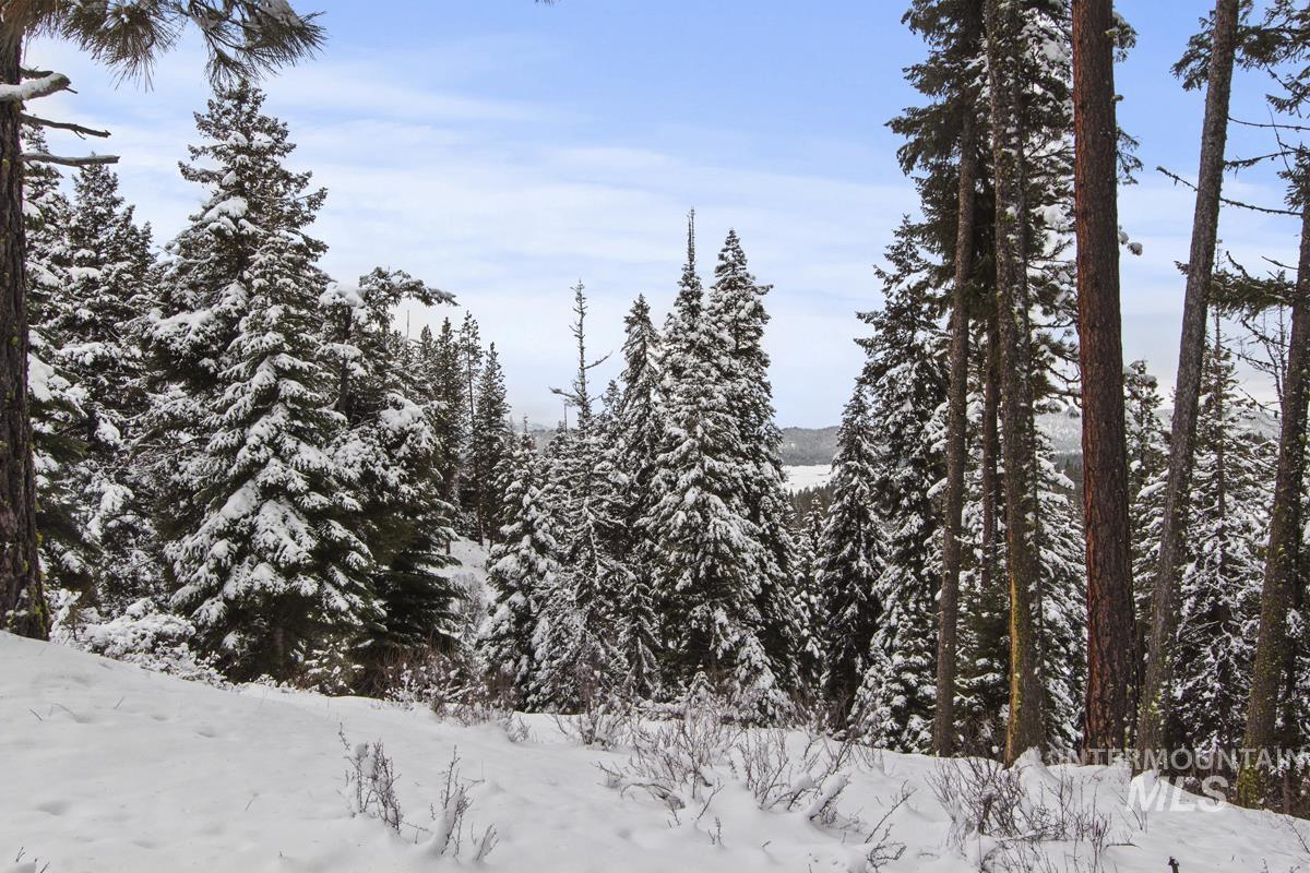 16 Sarah Way, Cascade, Idaho 83611-9999, Land For Sale, Price $145,000, 98971576