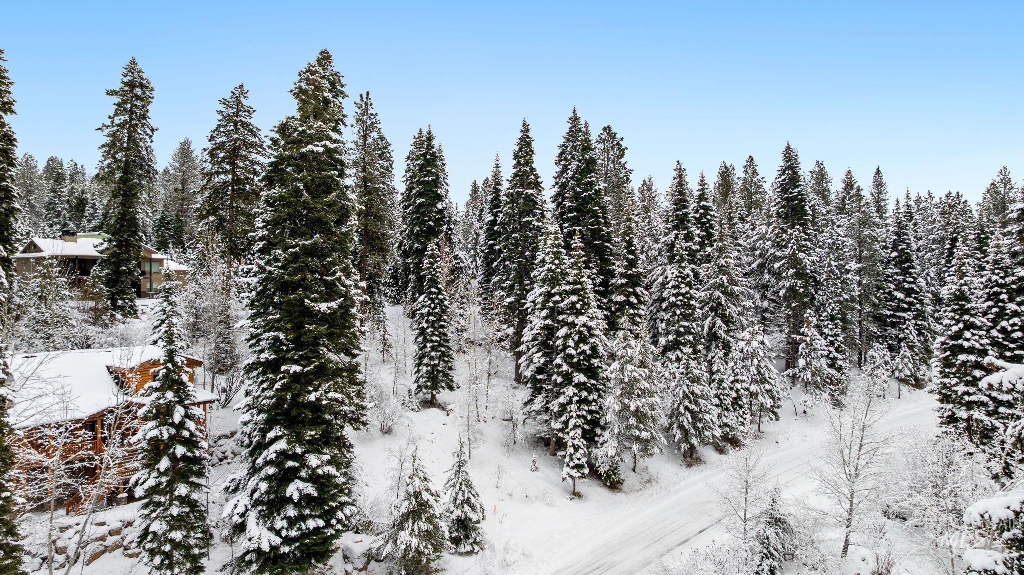 1435 Majestic View Dr, McCall, Idaho 83638, Land For Sale, Price $265,000,MLS 98971580