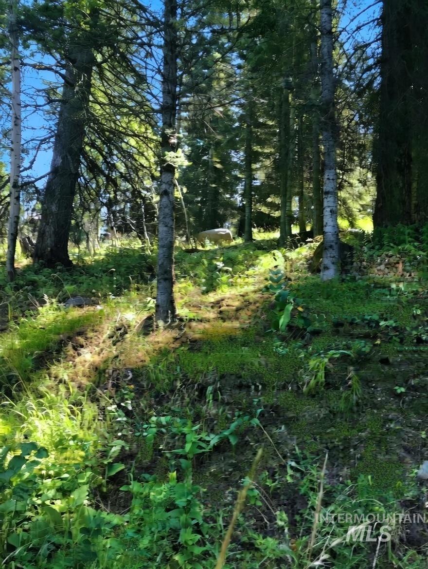 1435 Majestic View Dr, McCall, Idaho 83638, Land For Sale, Price $265,000,MLS 98971580