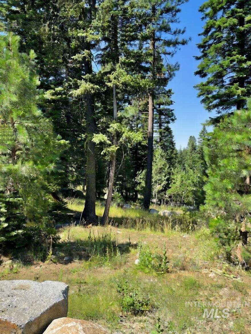 1435 Majestic View Dr, McCall, Idaho 83638, Land For Sale, Price $265,000,MLS 98971580