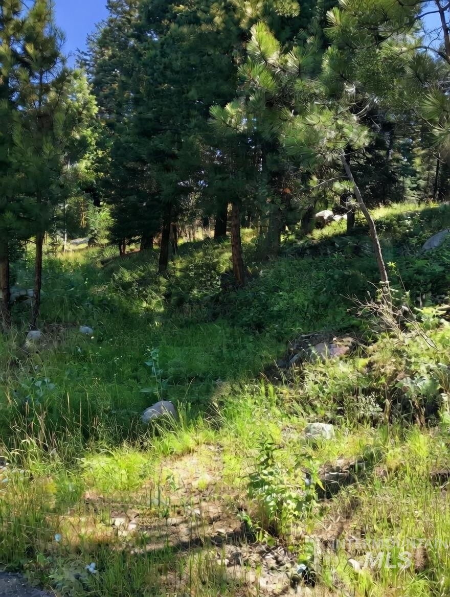 1435 Majestic View Dr, McCall, Idaho 83638, Land For Sale, Price $265,000,MLS 98971580
