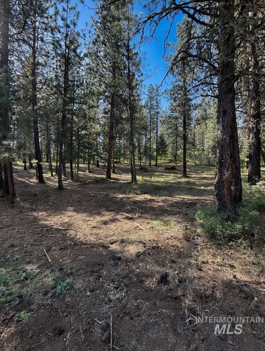 1435 Majestic View Dr, McCall, Idaho 83638, Land For Sale, Price $265,000,MLS 98971580