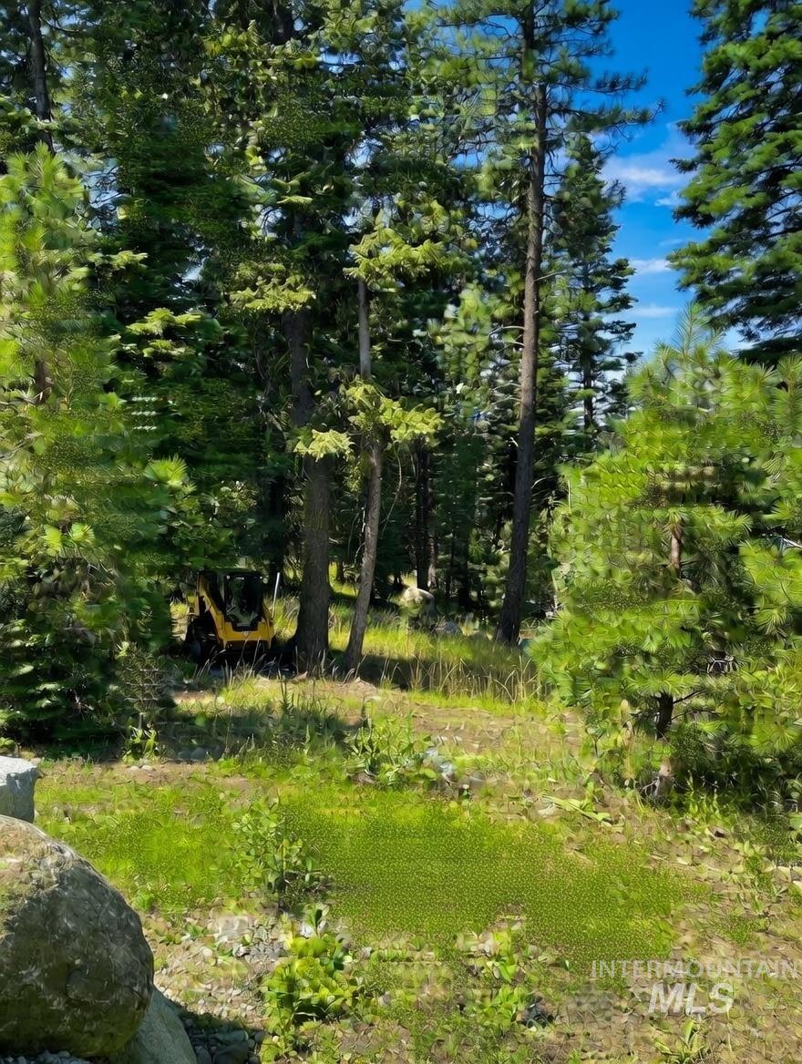 1435 Majestic View Dr, McCall, Idaho 83638, Land For Sale, Price $265,000,MLS 98971580