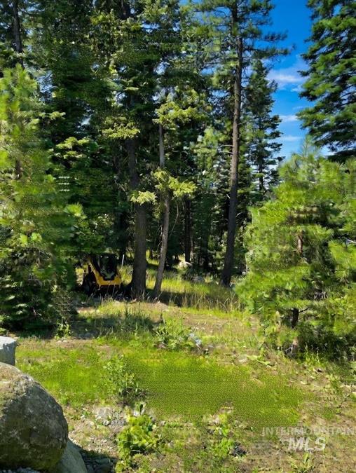 1425 Majestic View Drive, McCall