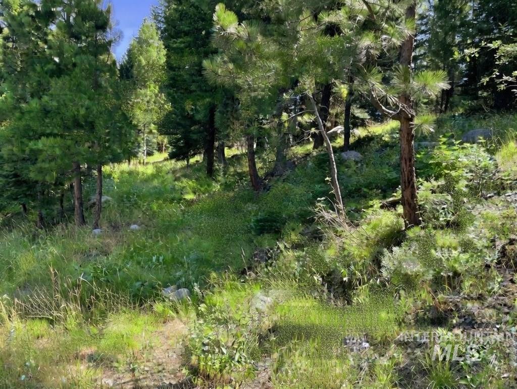 1425 Majestic View Dr, McCall, Idaho 83638, Land For Sale, Price $265,000,MLS 98971585