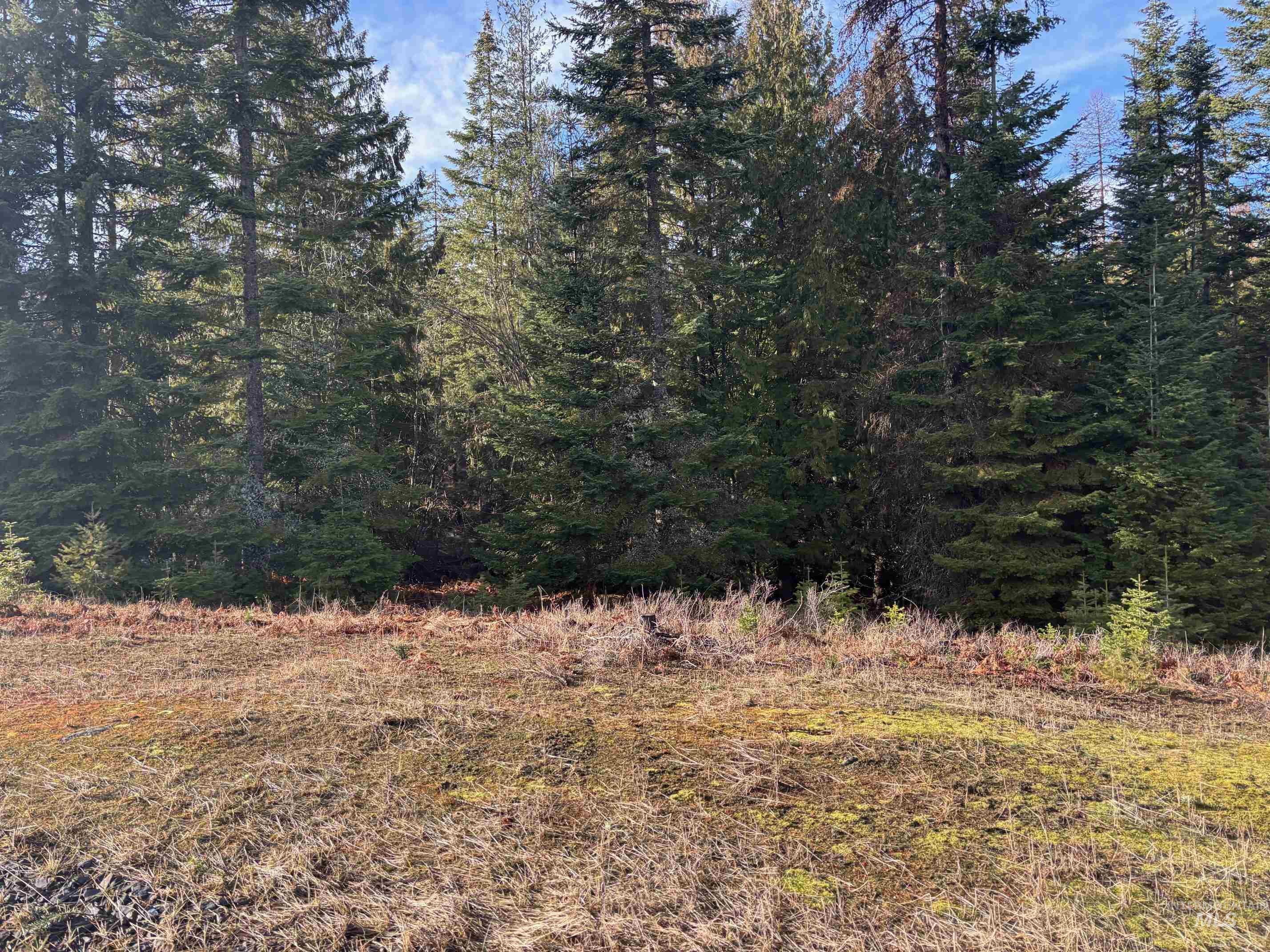 TBD Freeeman Creek, Lenore, Idaho 83541, Land For Sale, Price $144,000,MLS 98971702
