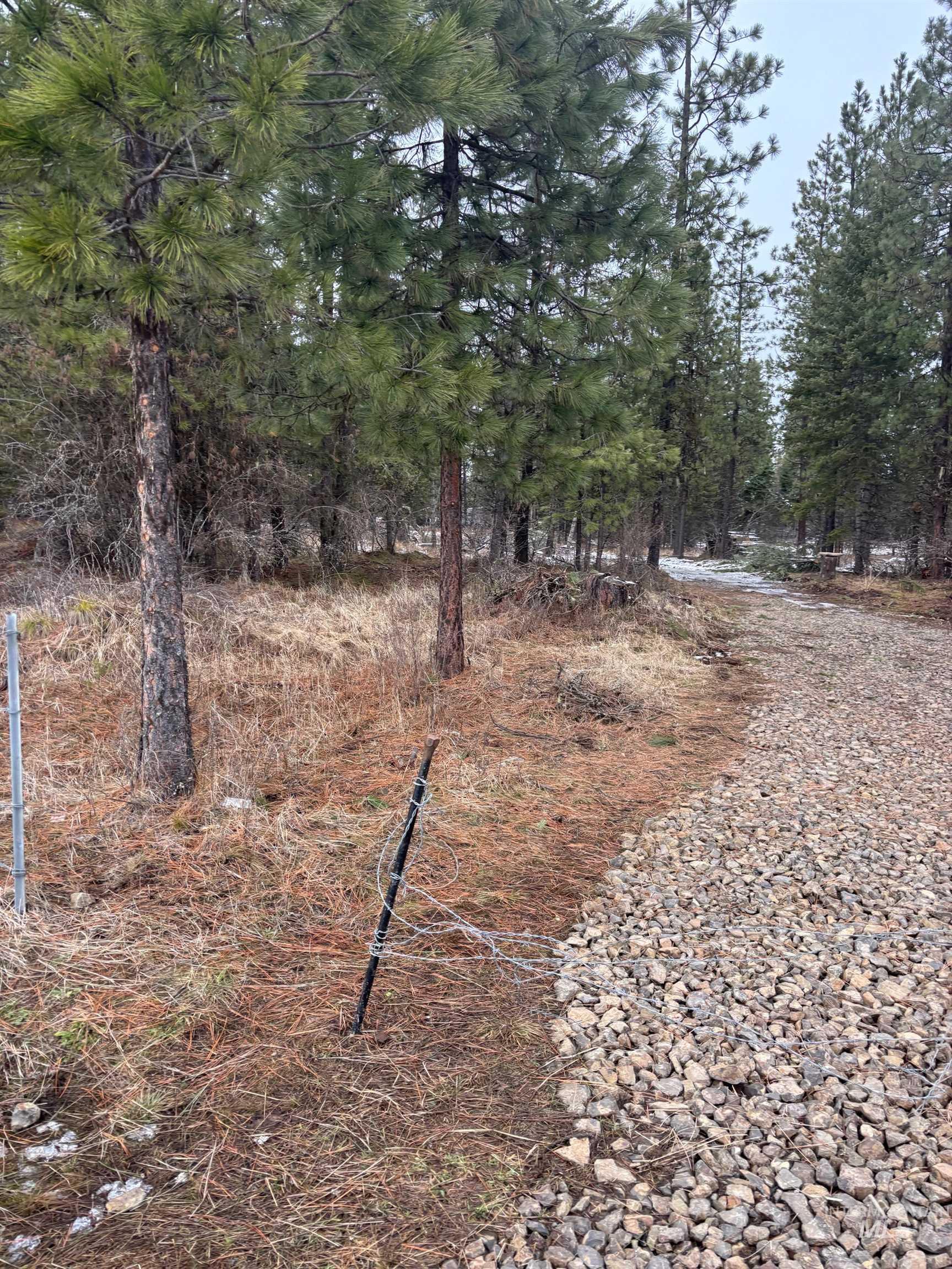 TBD Freeeman Creek, Lenore, Idaho 83541, Land For Sale, Price $144,000,MLS 98971702