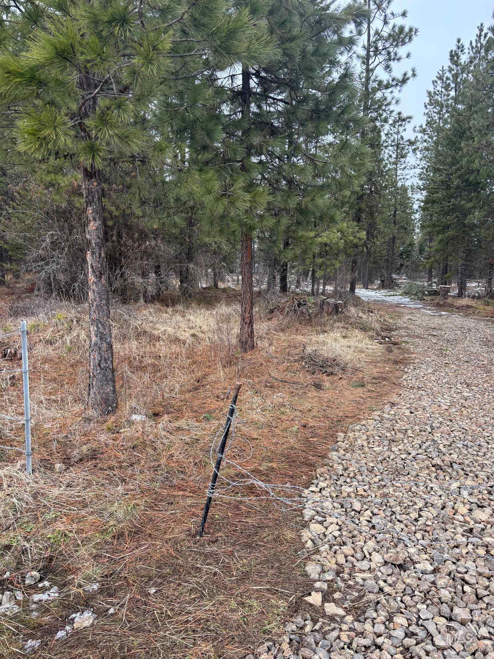 TBD Freeeman Creek, Lenore, Idaho 83541, Land For Sale, Price $144,000,MLS 98971702
