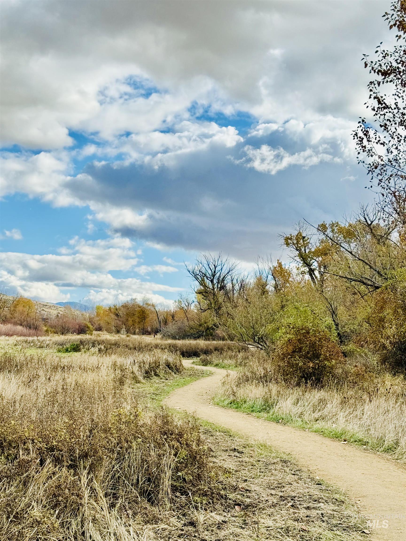 3811 W Miners Farm Ct., Boise, Idaho 83714, 4 Bedrooms, 3.5 Bathrooms, Residential For Sale, Price $1,730,000,MLS 98971744