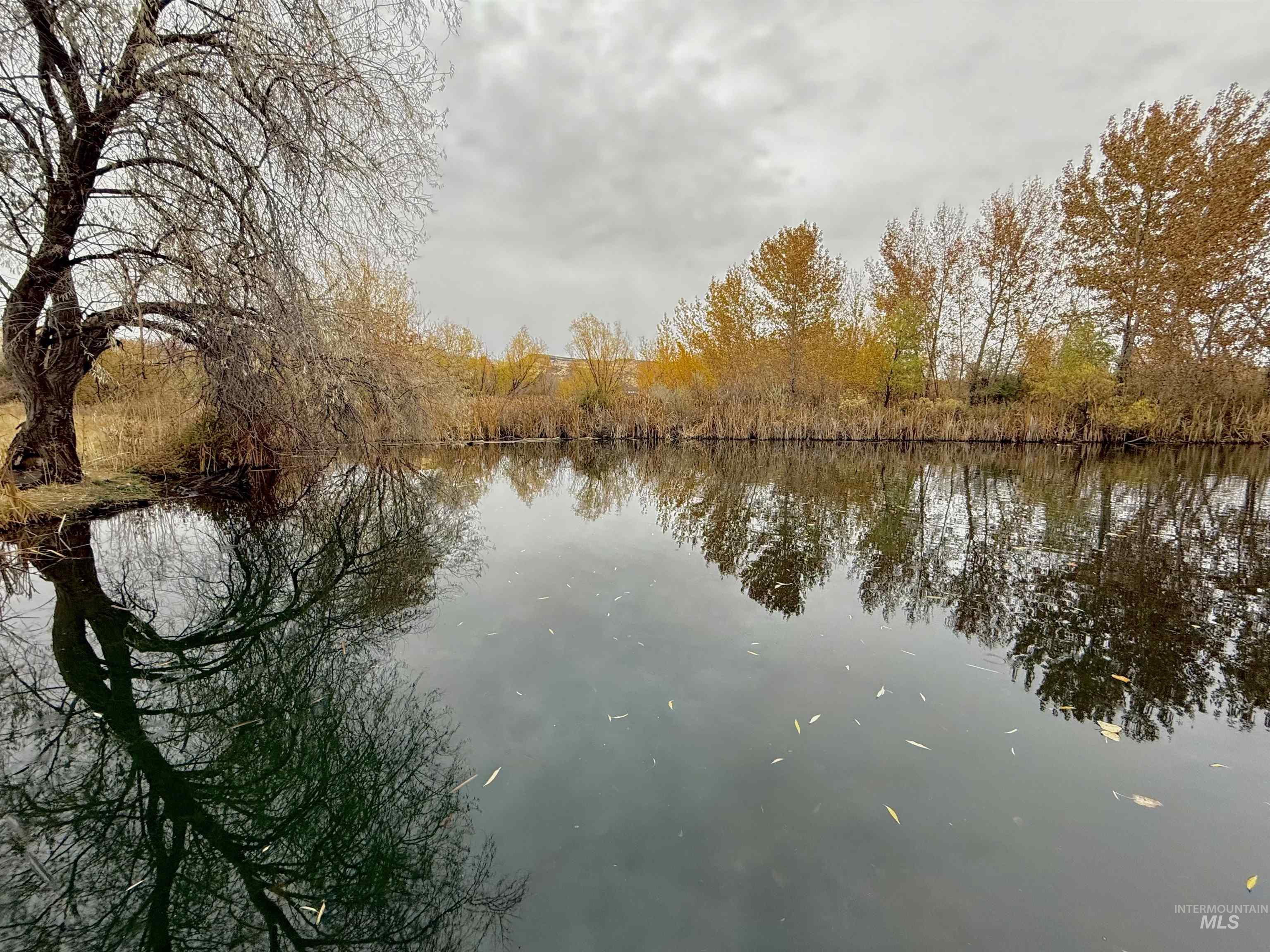 3811 W Miners Farm Ct., Boise, Idaho 83714, 4 Bedrooms, 3.5 Bathrooms, Residential For Sale, Price $1,730,000,MLS 98971744