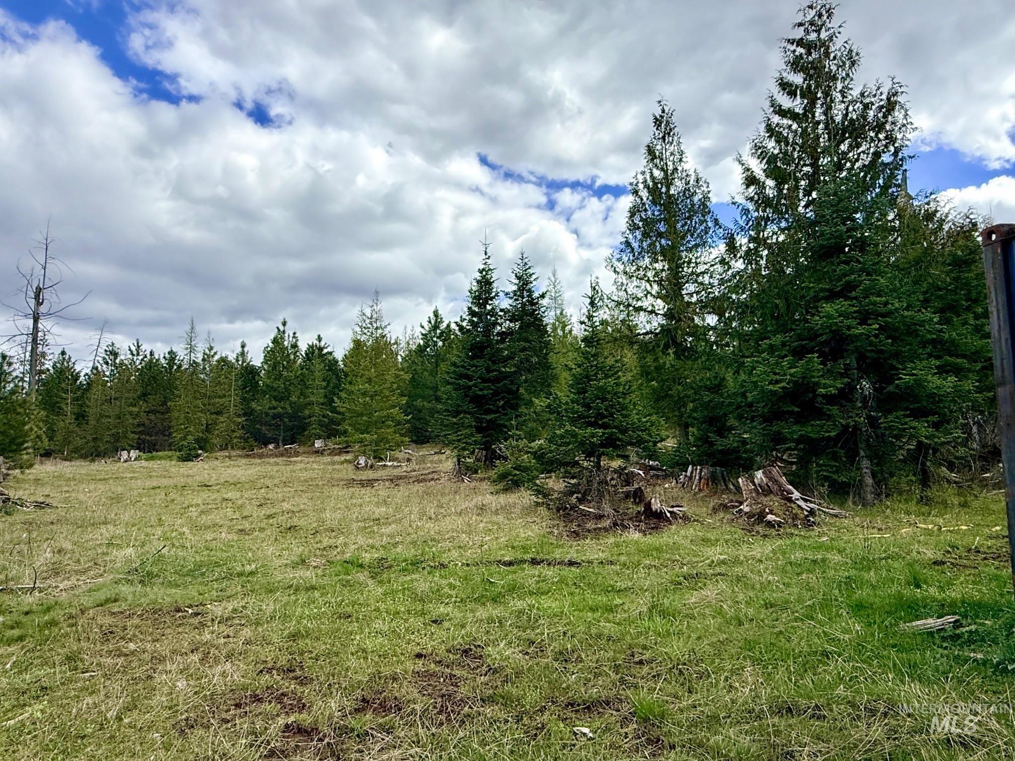 0 Wildwood Dr, Orofino, Idaho 83544, Land For Sale, Price $135,000, 98971745