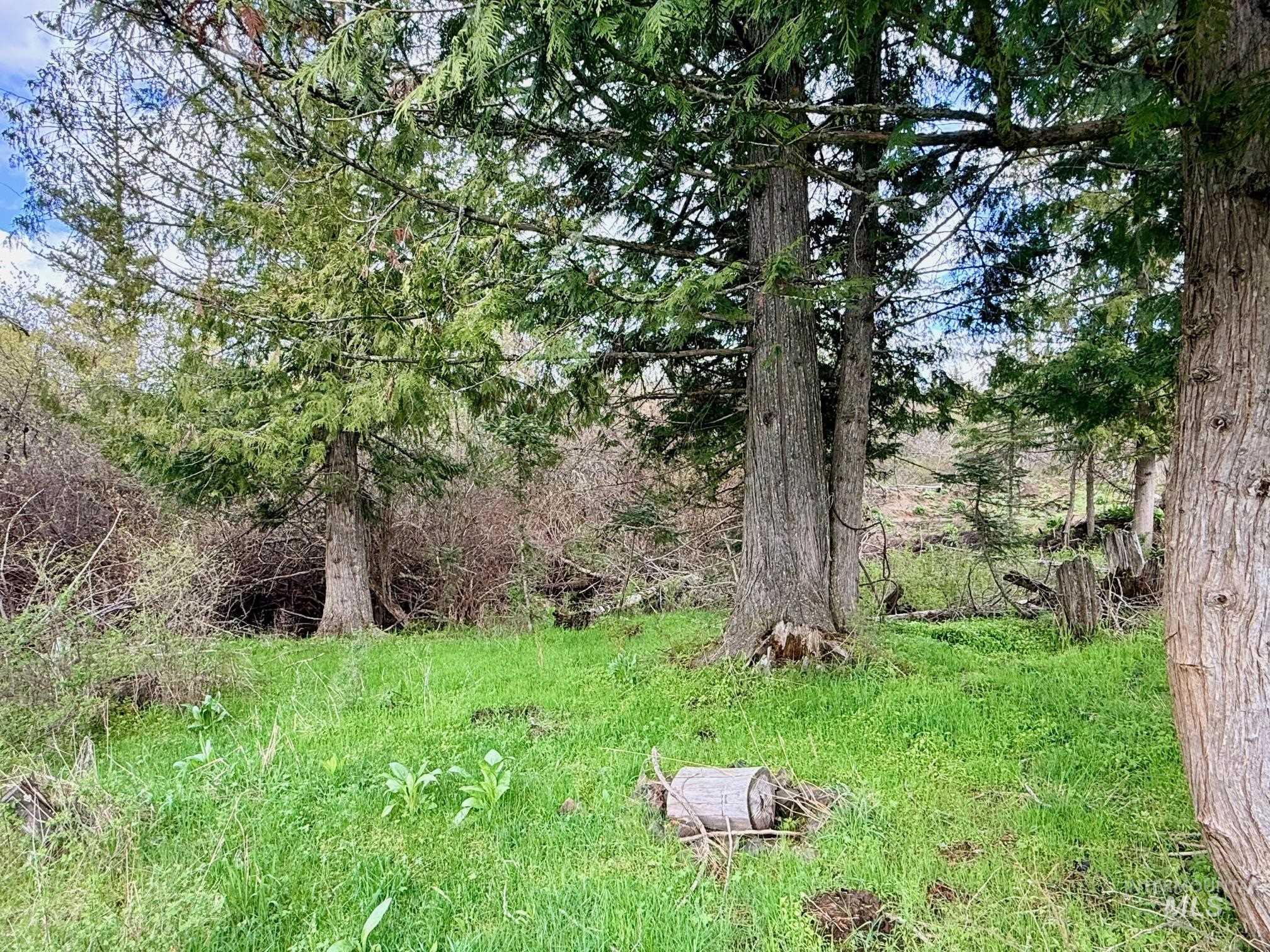 0 Wildwood Dr, Orofino, Idaho 83544, Land For Sale, Price $135,000, 98971745