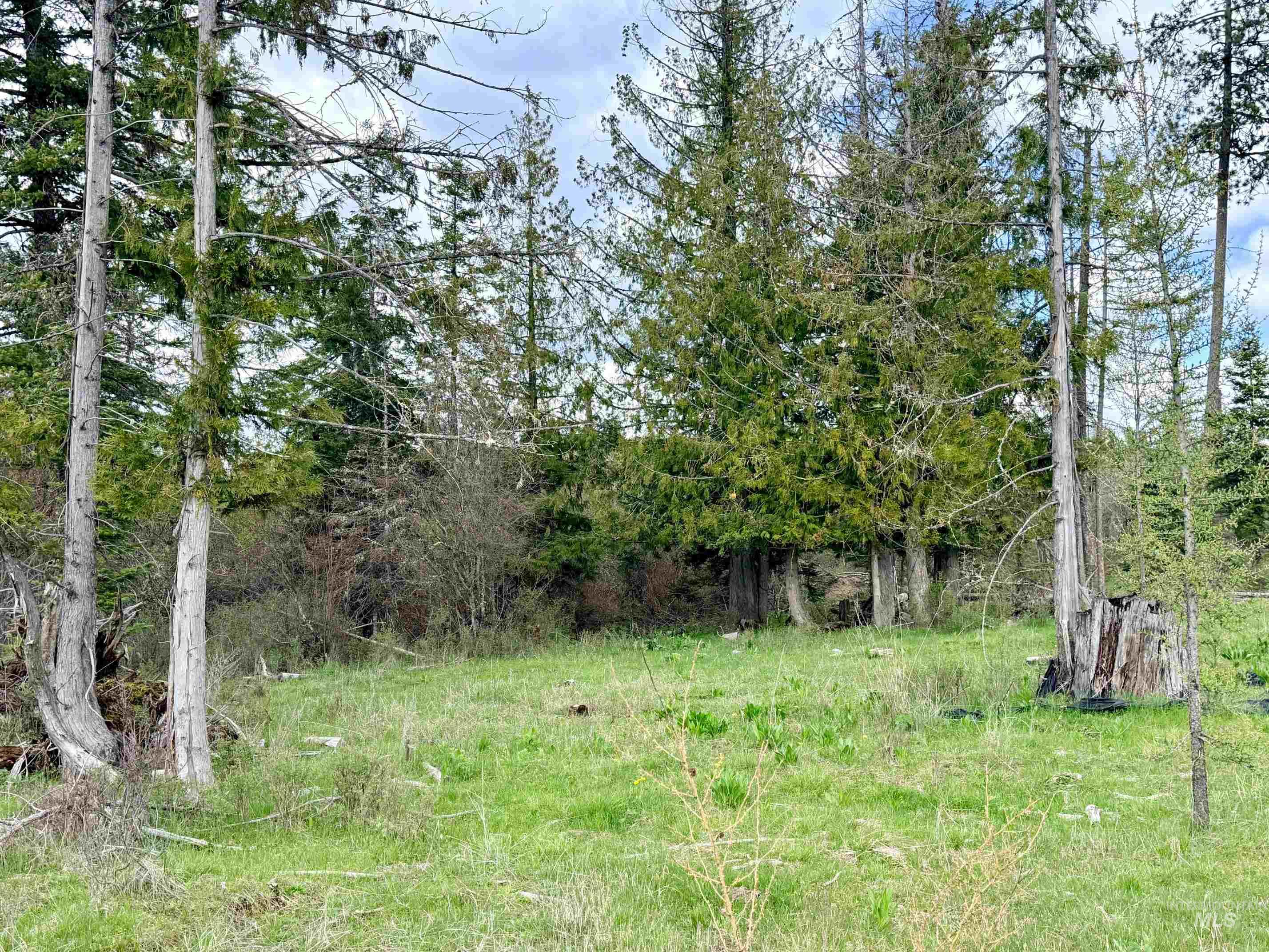 0 Wildwood Dr, Orofino, Idaho 83544, Land For Sale, Price $135,000, 98971745