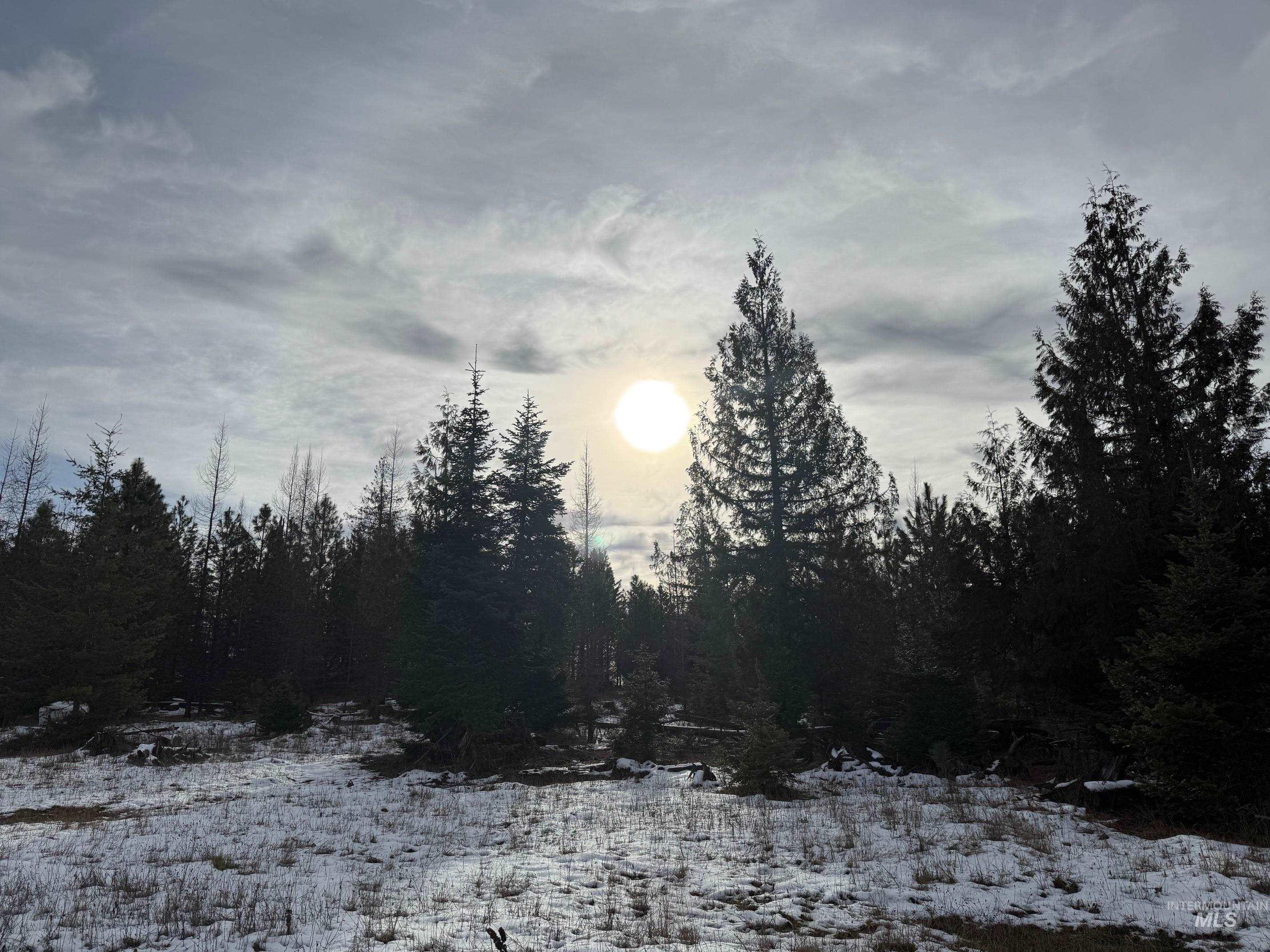 0 Wildwood Dr, Orofino, Idaho 83544, Land For Sale, Price $135,000,MLS 98971745