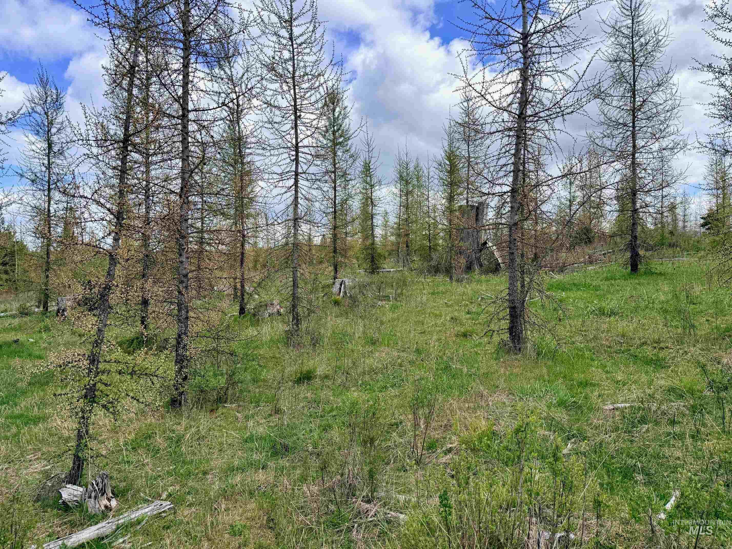 0 Wildwood Dr, Orofino, Idaho 83544, Land For Sale, Price $135,000, 98971745