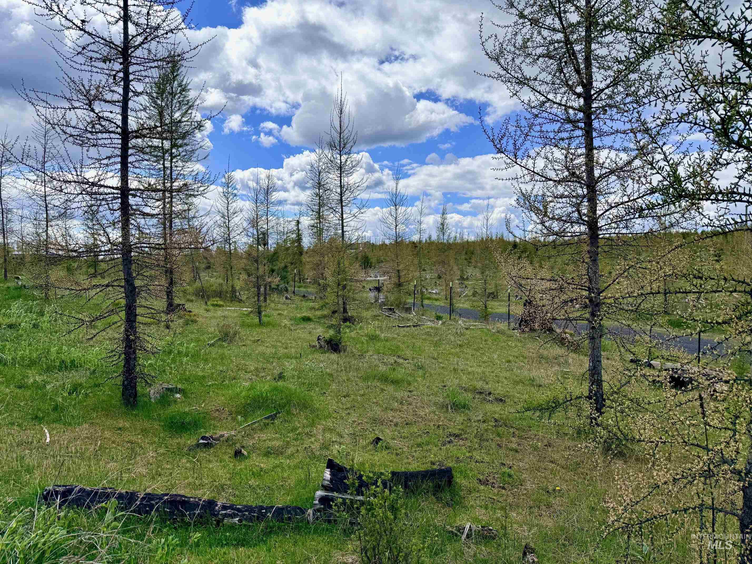 0 Wildwood Dr, Orofino, Idaho 83544, Land For Sale, Price $135,000, 98971745