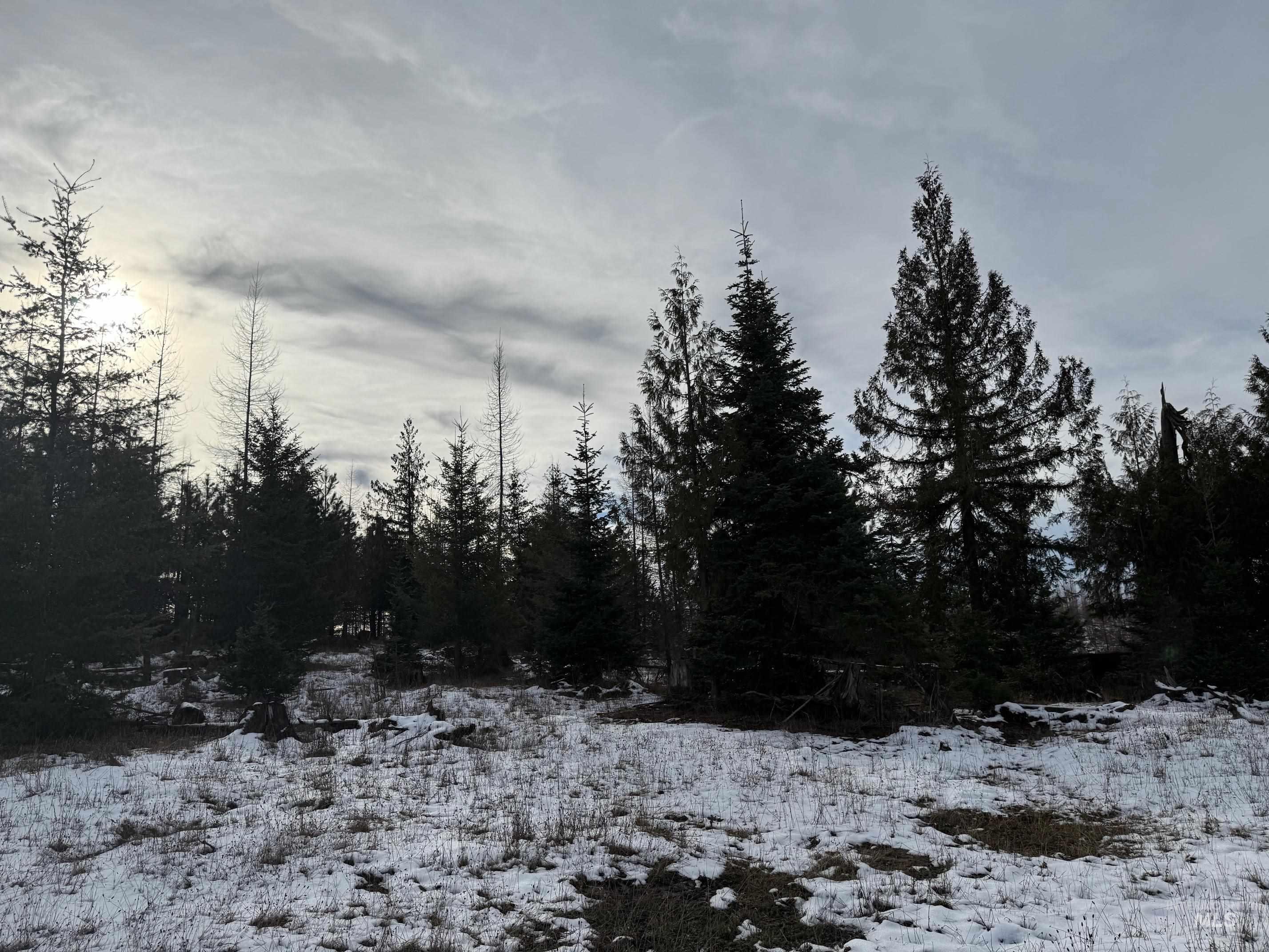 0 Wildwood Dr, Orofino, Idaho 83544, Land For Sale, Price $135,000,MLS 98971745
