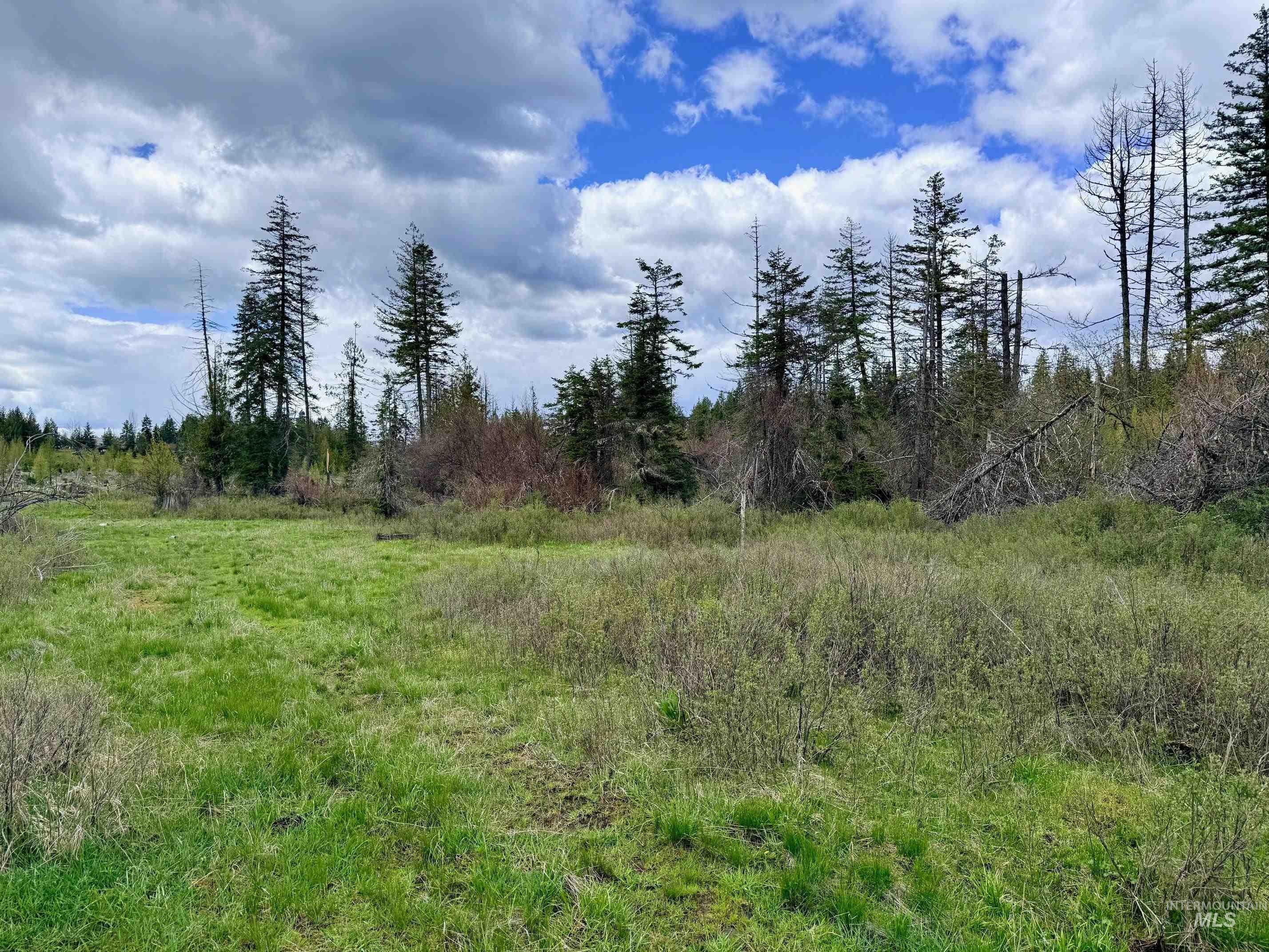 0 Wildwood Dr, Orofino, Idaho 83544, Land For Sale, Price $135,000, 98971745