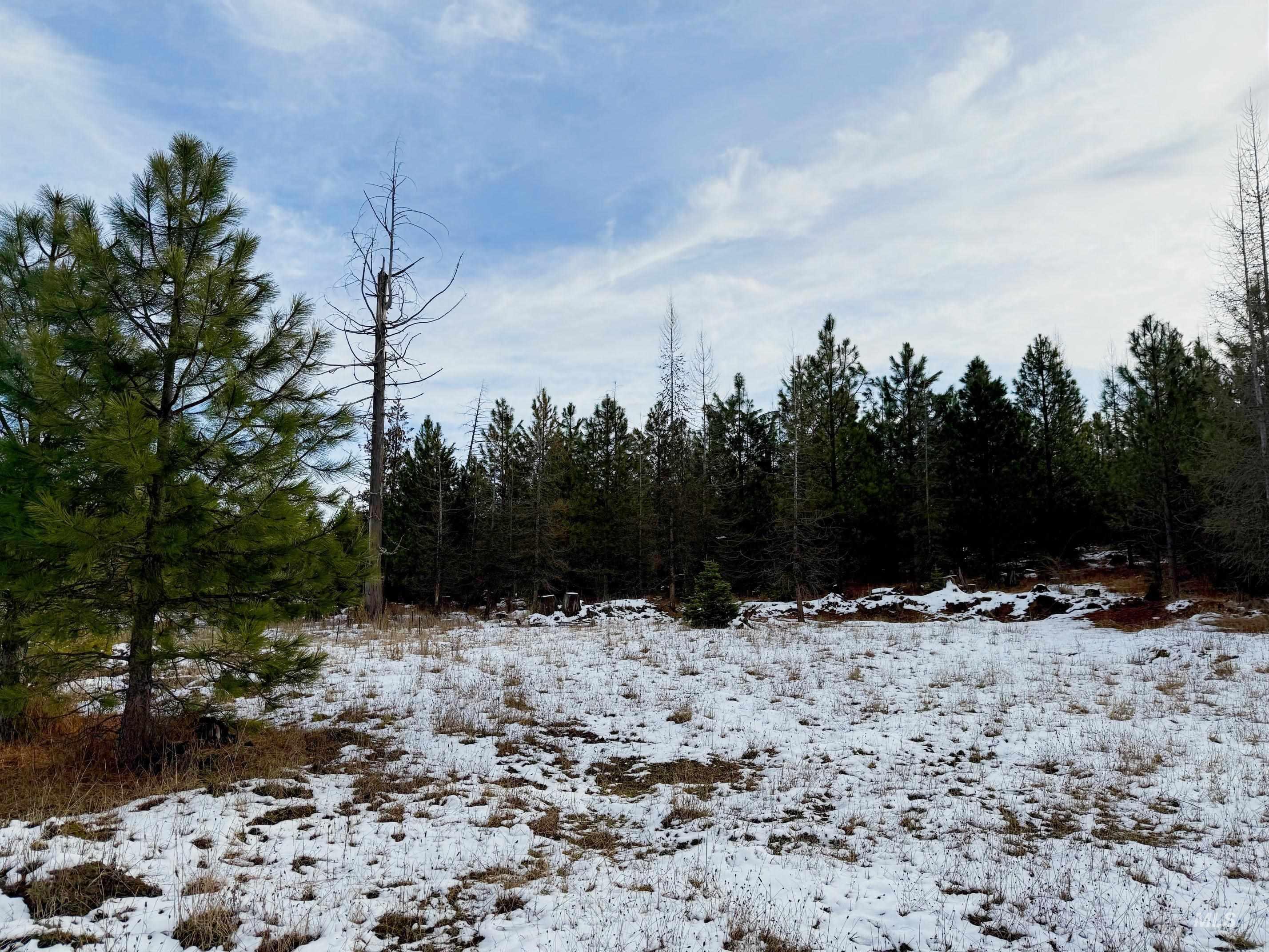 0 Wildwood Dr, Orofino, Idaho 83544, Land For Sale, Price $135,000,MLS 98971745