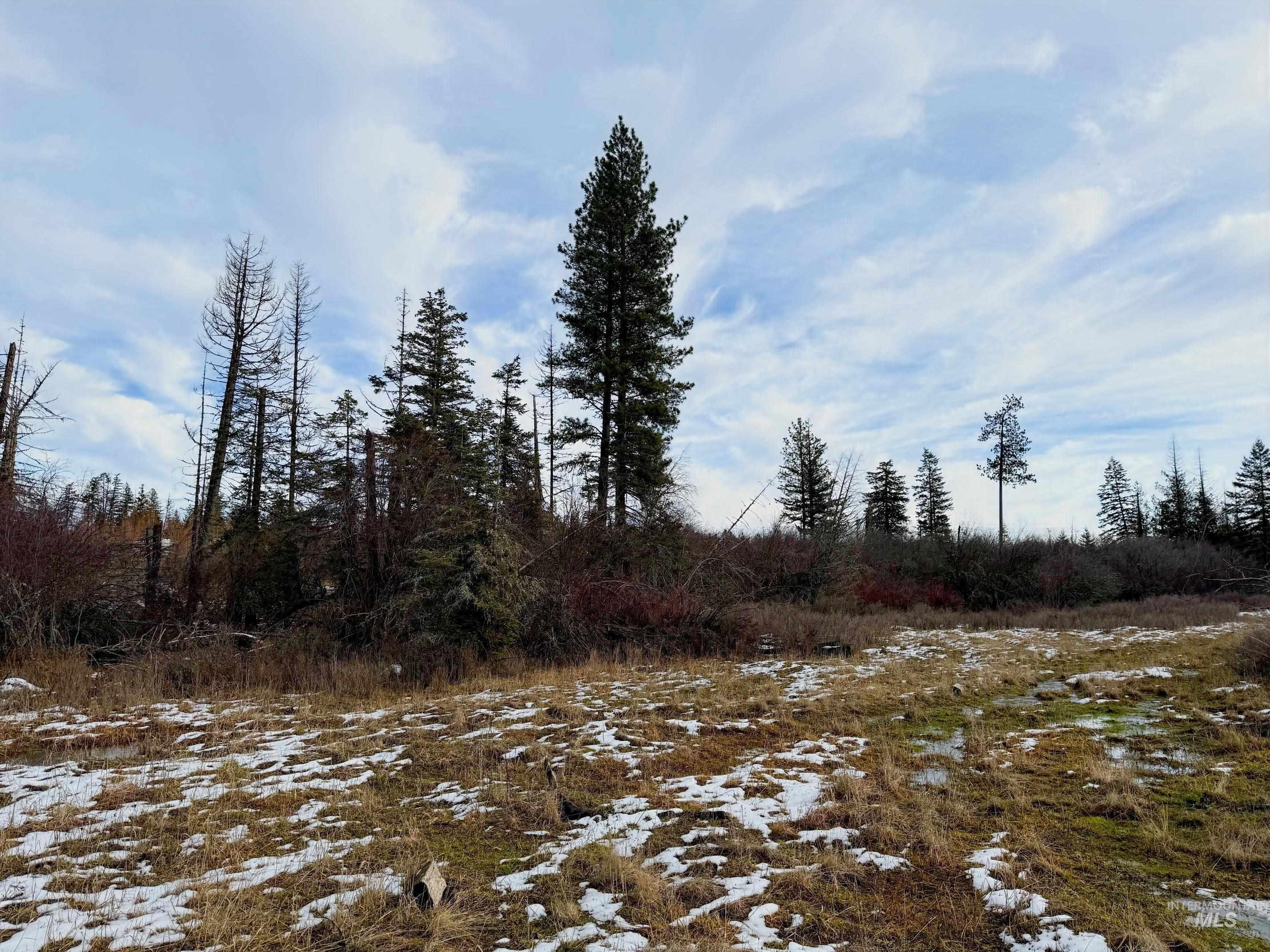 0 Wildwood Dr, Orofino, Idaho 83544, Land For Sale, Price $135,000,MLS 98971745