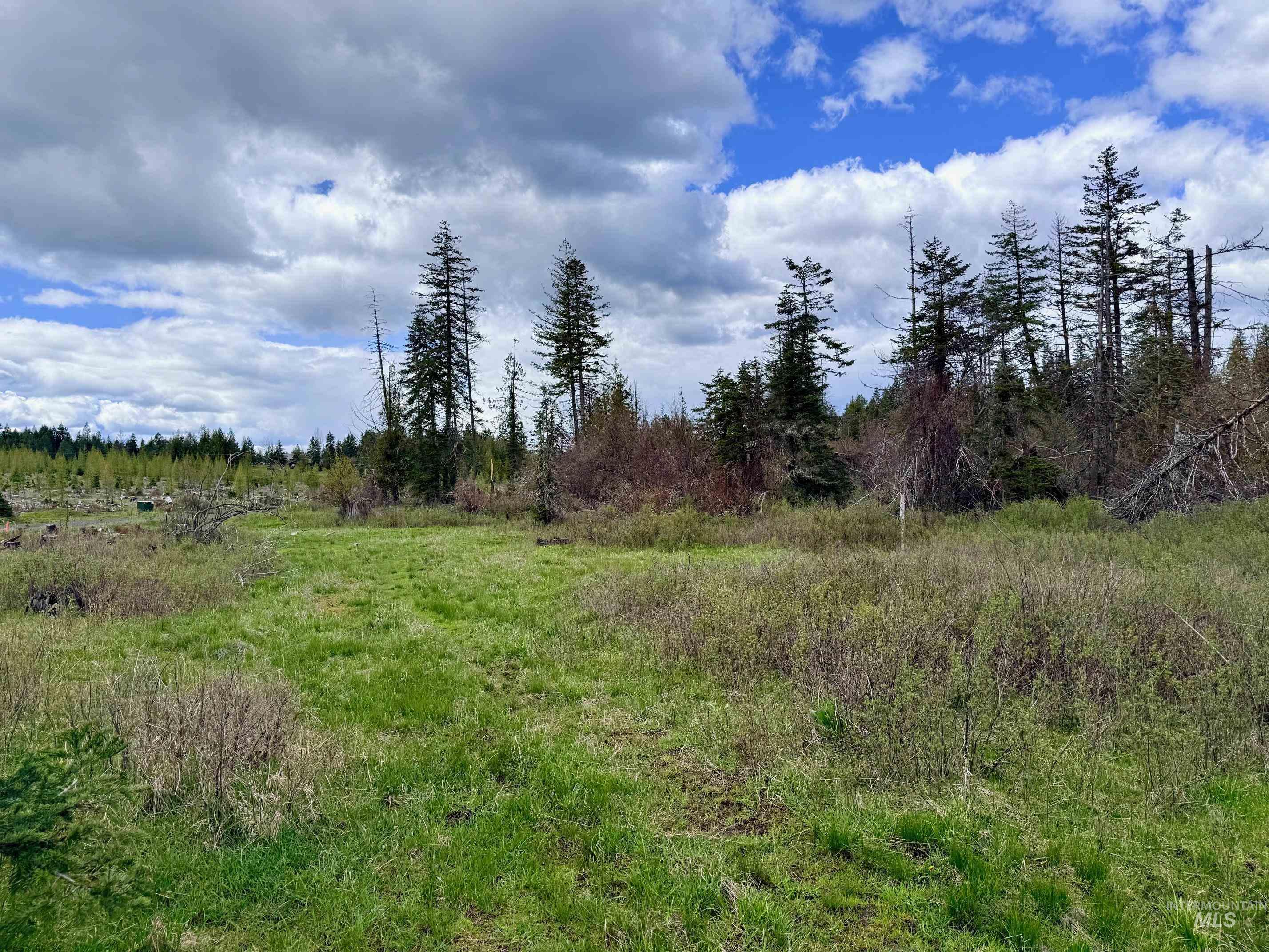 0 Wildwood Dr, Orofino, Idaho 83544, Land For Sale, Price $135,000, 98971745