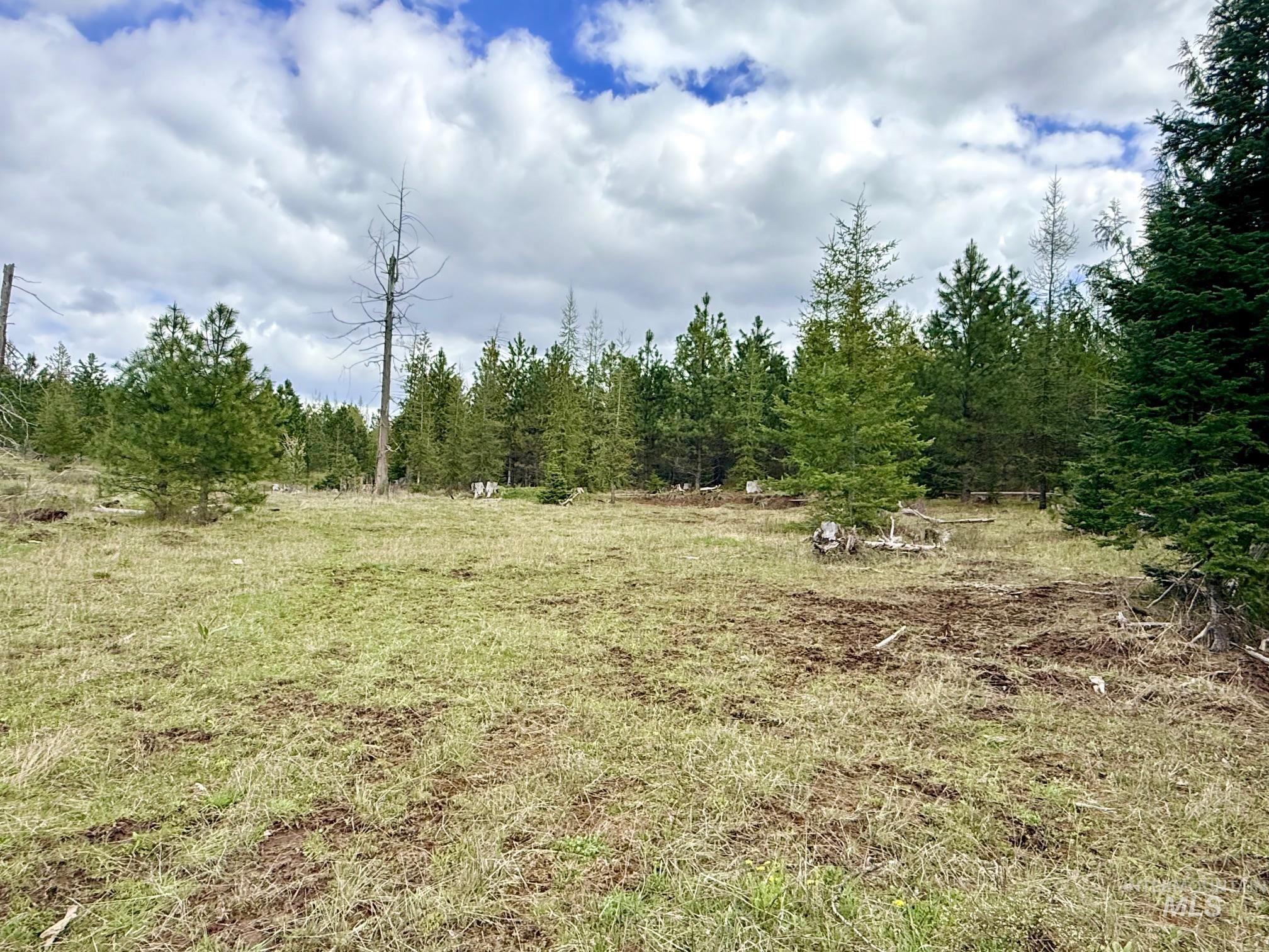 0 Wildwood Dr, Orofino, Idaho 83544, Land For Sale, Price $135,000, 98971745