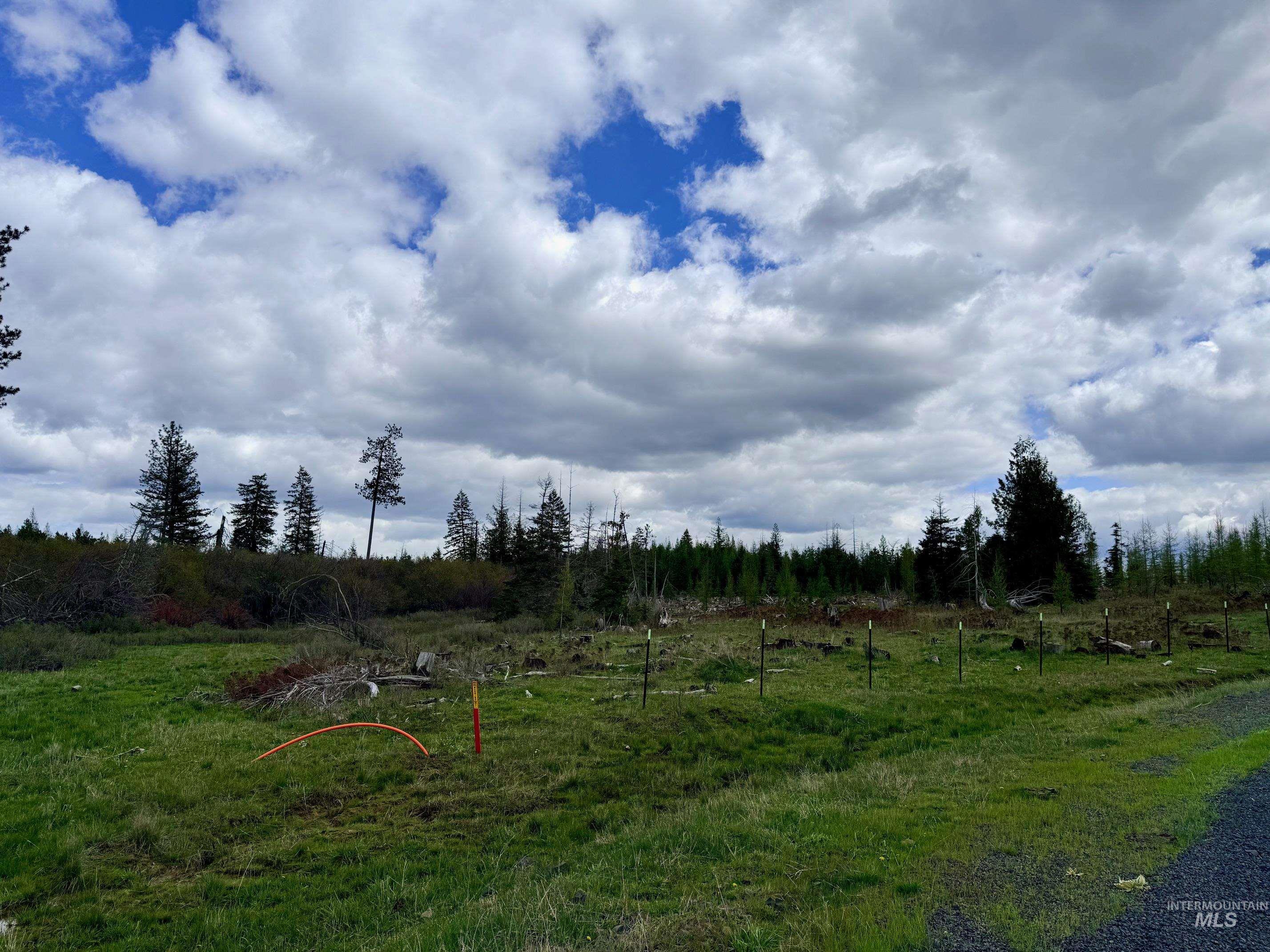 0 Wildwood Dr, Orofino, Idaho 83544, Land For Sale, Price $135,000, 98971745