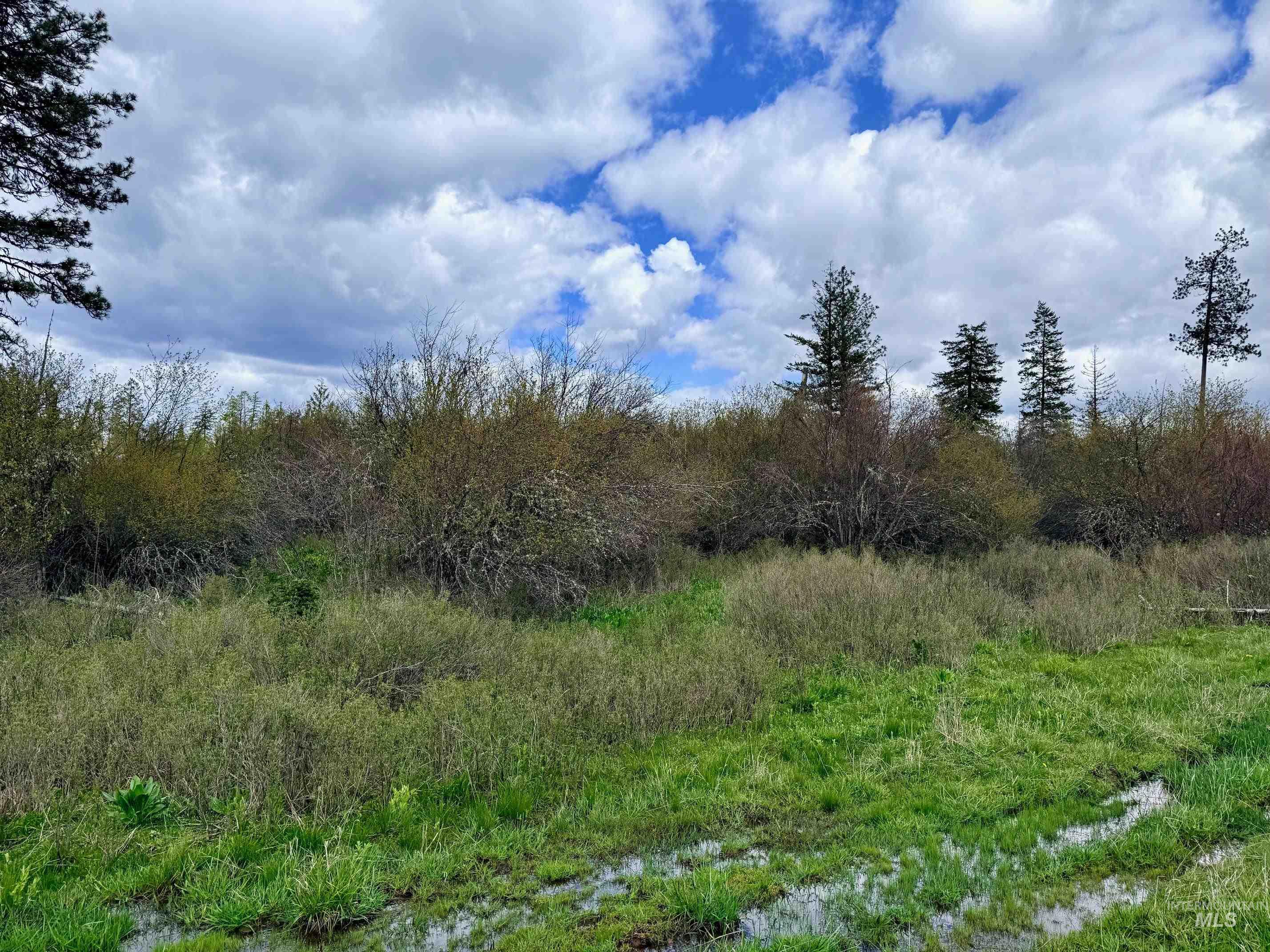 0 Wildwood Dr, Orofino, Idaho 83544, Land For Sale, Price $135,000, 98971745