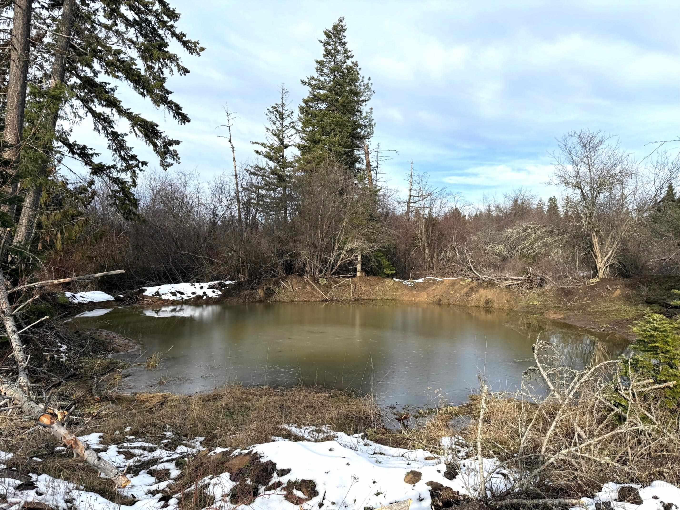 0 Wildwood Dr, Orofino, Idaho 83544, Land For Sale, Price $135,000,MLS 98971745