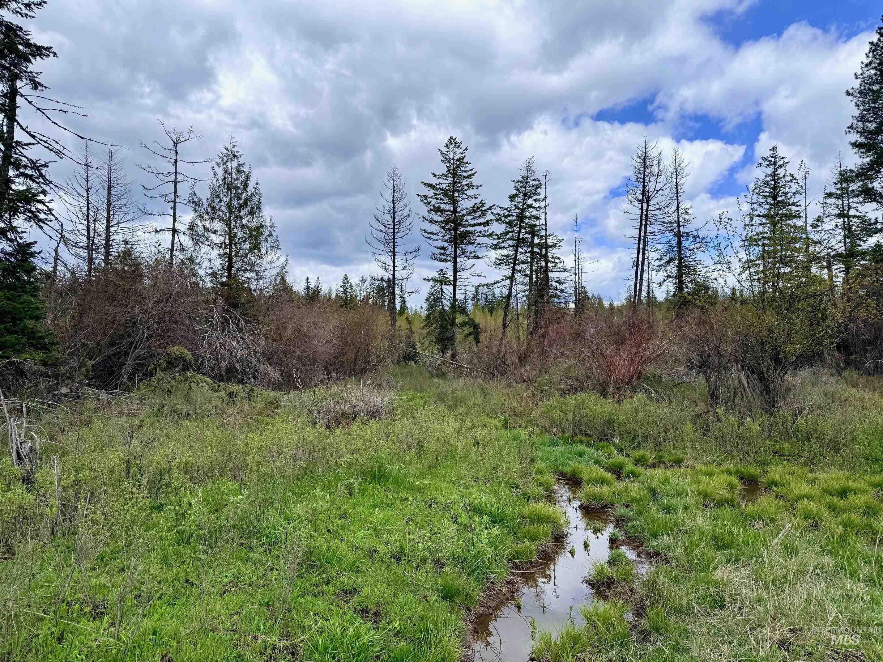 0 Wildwood Dr, Orofino, Idaho 83544, Land For Sale, Price $135,000, 98971745