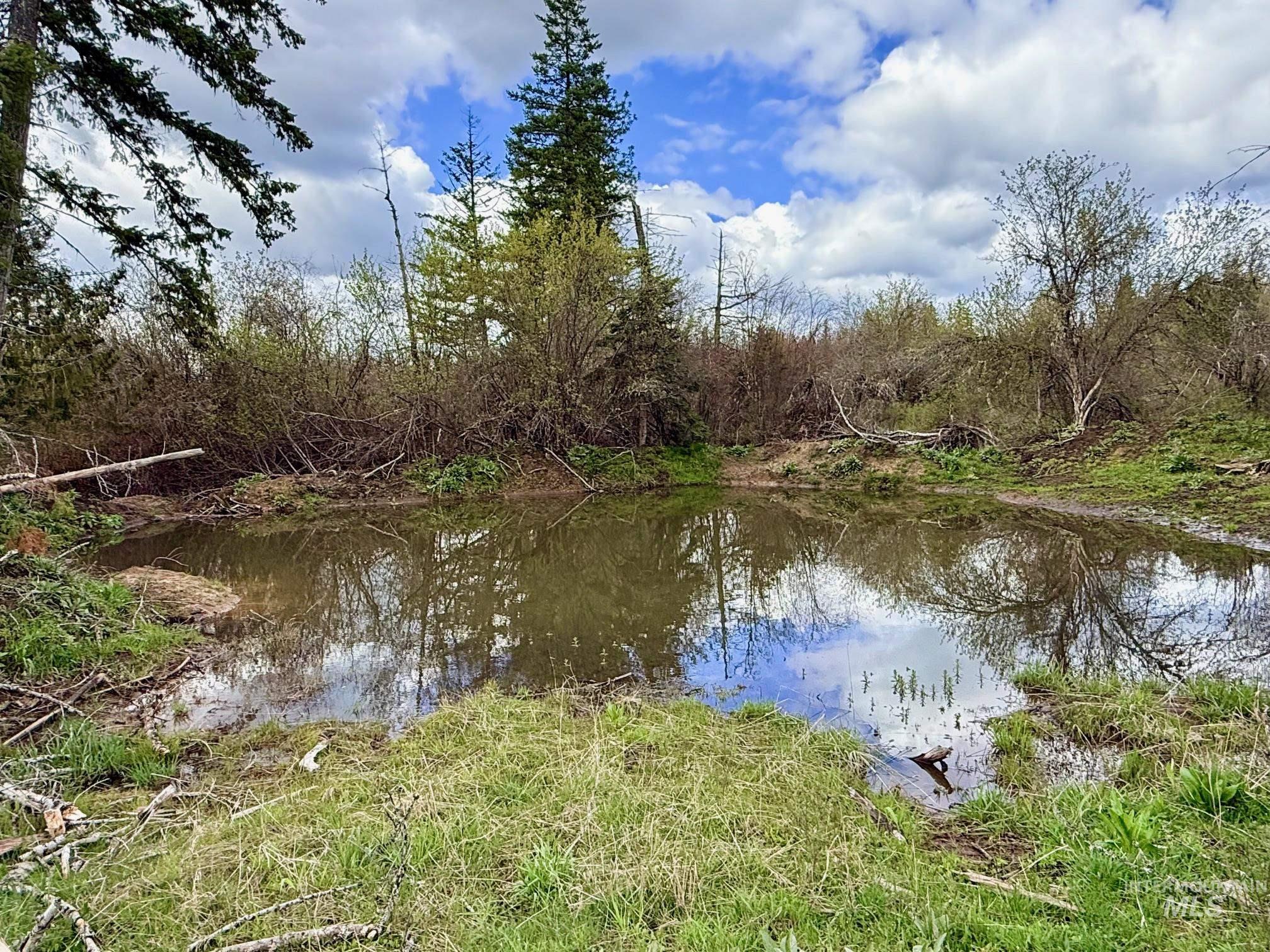 0 Wildwood Dr, Orofino, Idaho 83544, Land For Sale, Price $135,000, 98971745