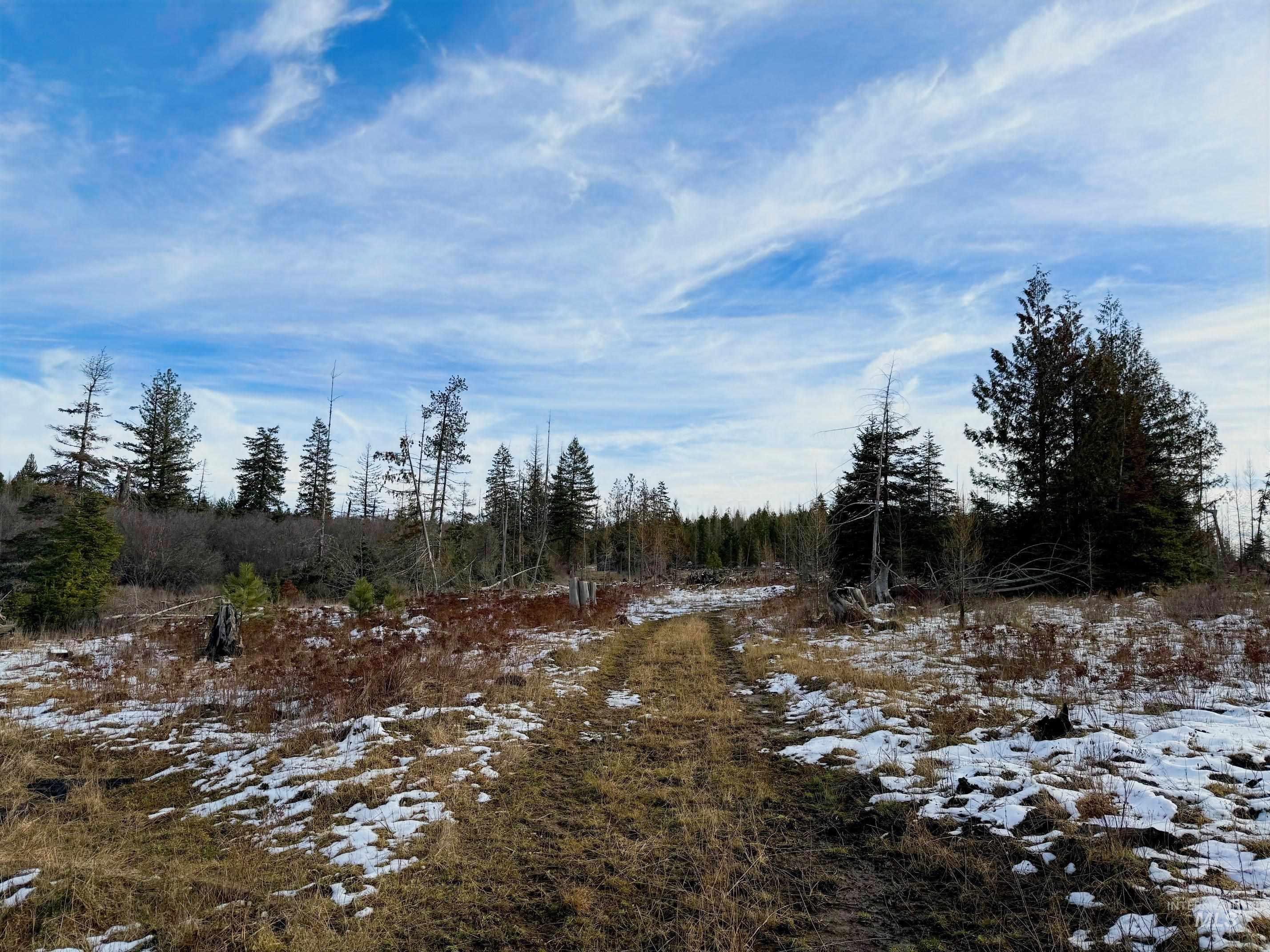 0 Wildwood Dr, Orofino, Idaho 83544, Land For Sale, Price $135,000,MLS 98971745