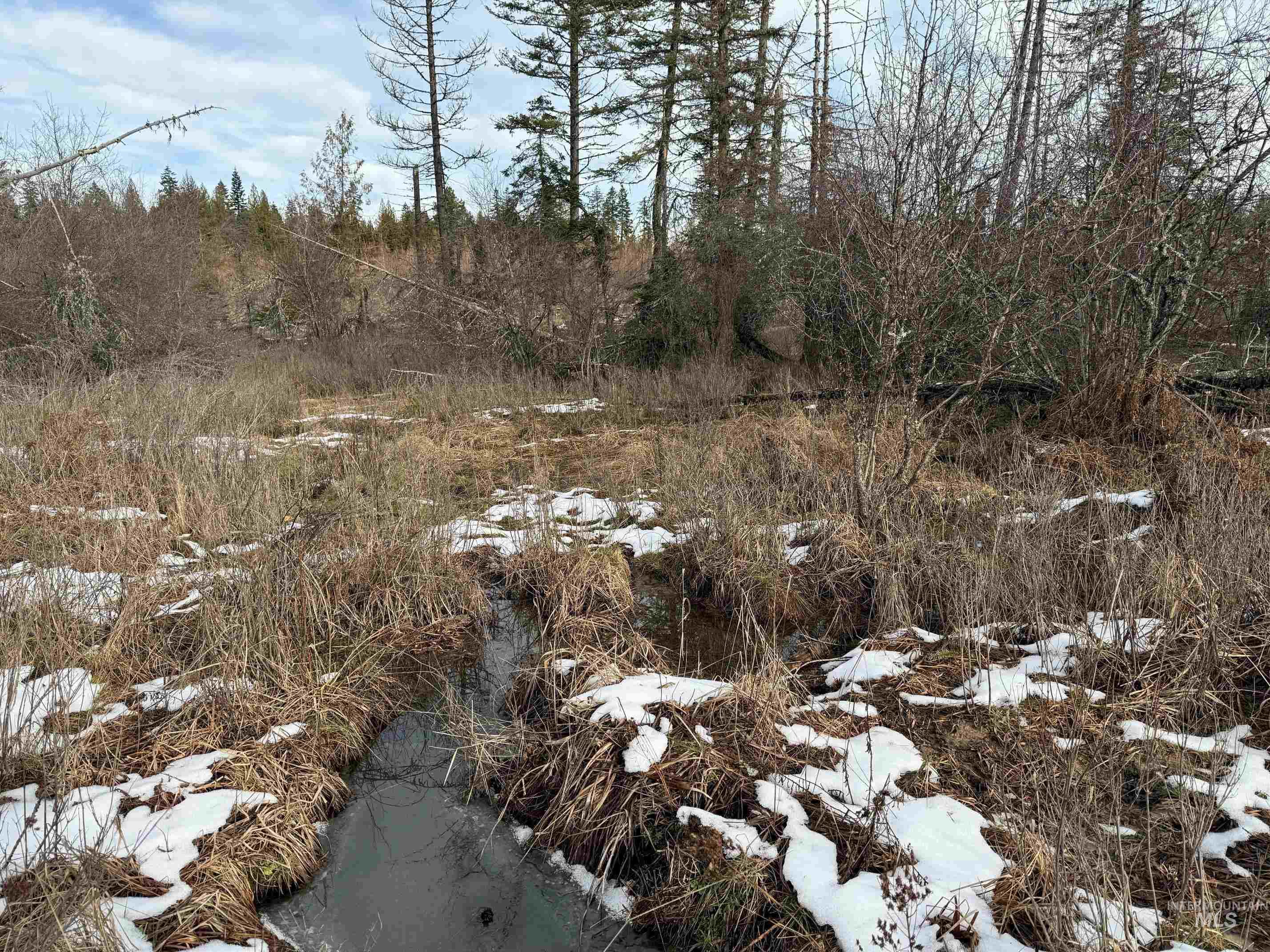 0 Wildwood Dr, Orofino, Idaho 83544, Land For Sale, Price $135,000,MLS 98971745