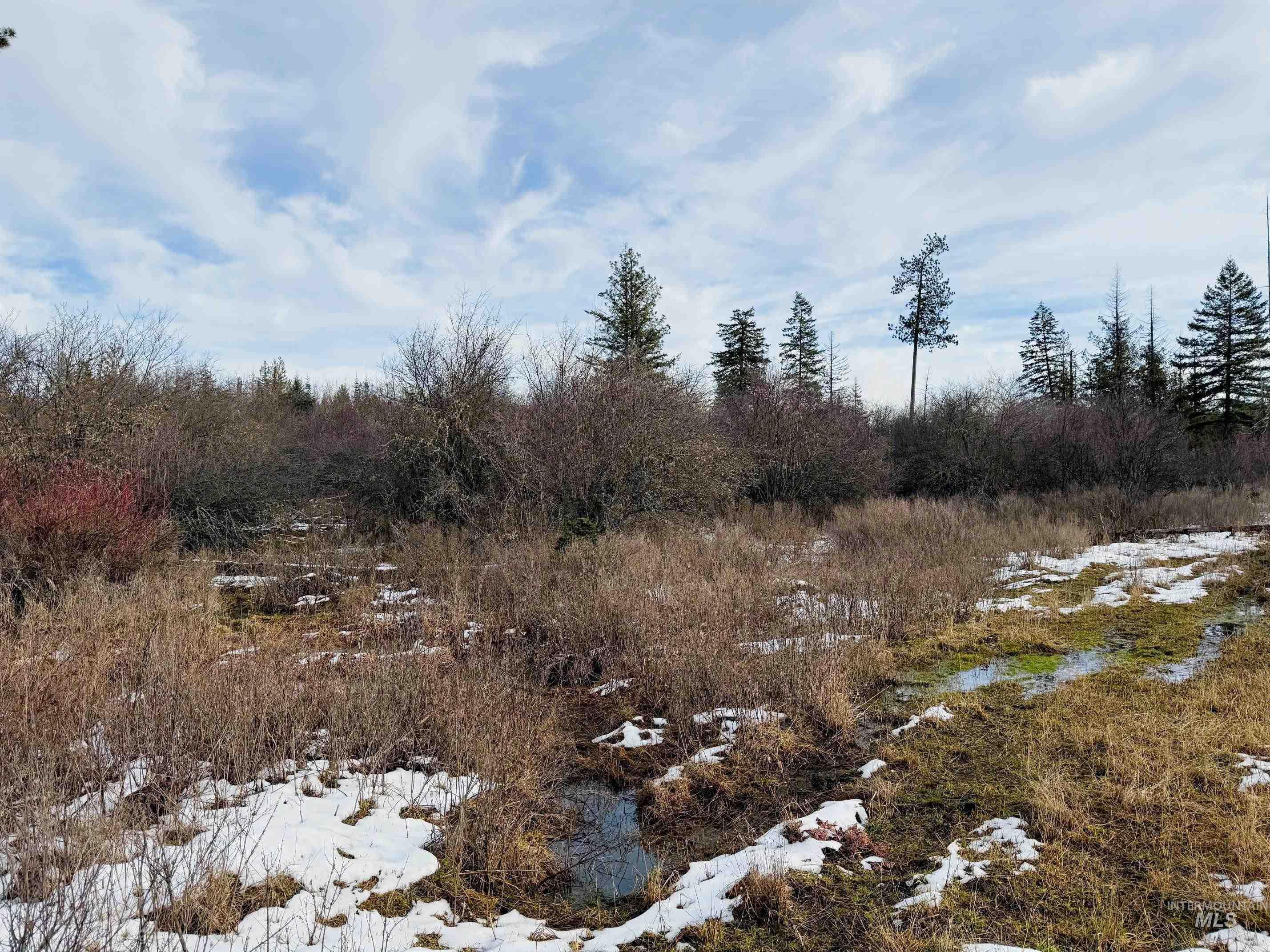 0 Wildwood Dr, Orofino, Idaho 83544, Land For Sale, Price $135,000,MLS 98971745