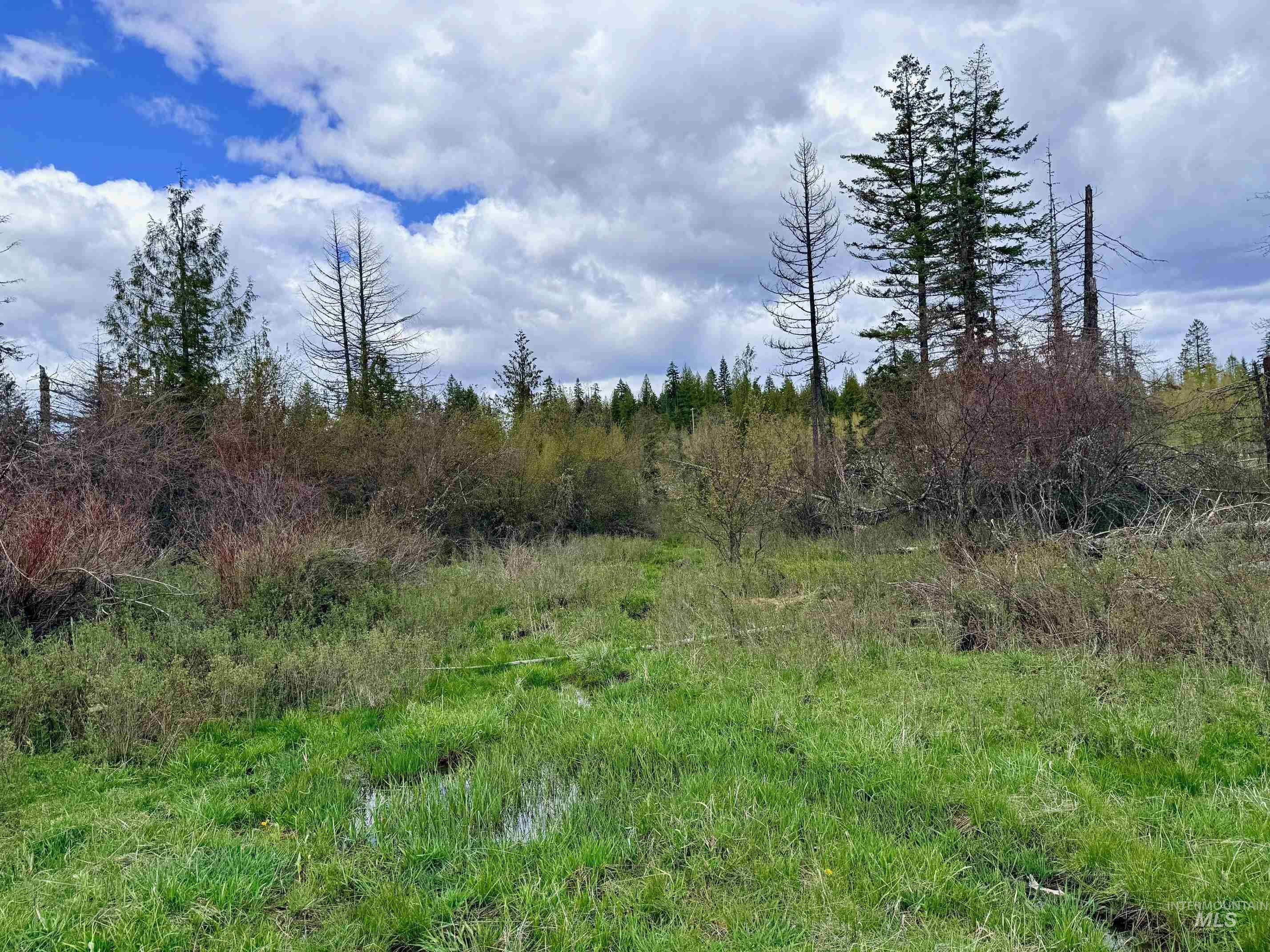 0 Wildwood Dr, Orofino, Idaho 83544, Land For Sale, Price $135,000, 98971745