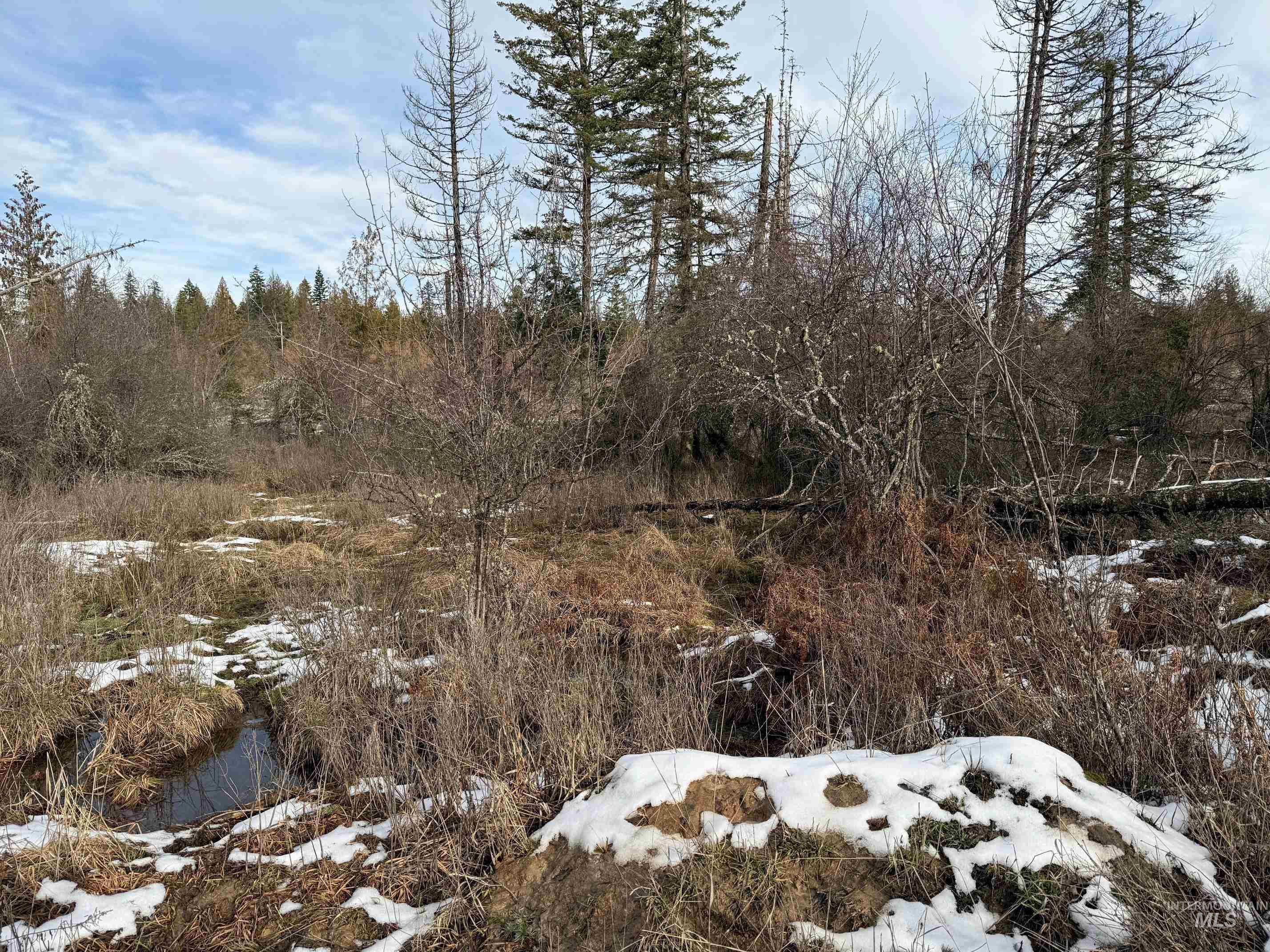 0 Wildwood Dr, Orofino, Idaho 83544, Land For Sale, Price $135,000,MLS 98971745