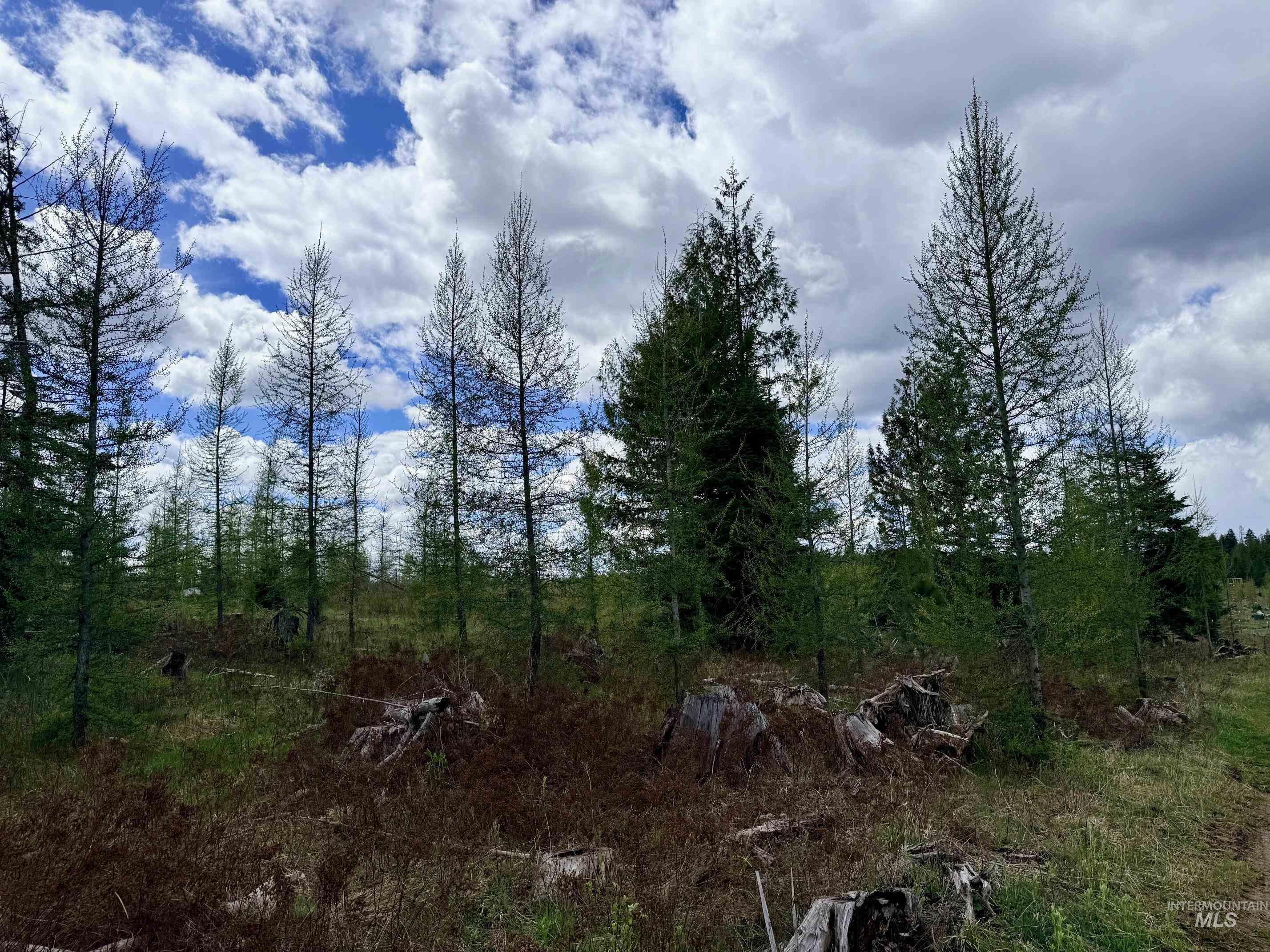 0 Wildwood Dr, Orofino, Idaho 83544, Land For Sale, Price $135,000, 98971745