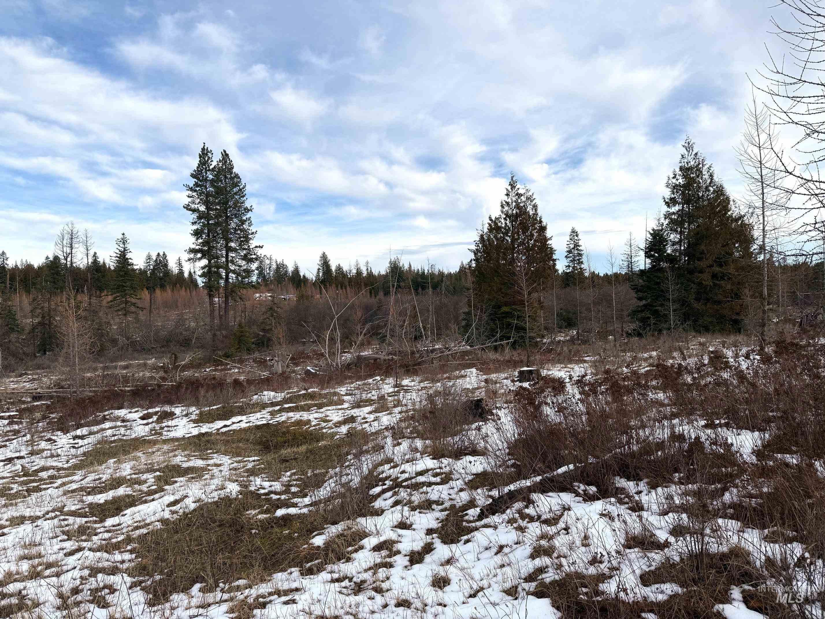 0 Wildwood Dr, Orofino, Idaho 83544, Land For Sale, Price $135,000,MLS 98971745