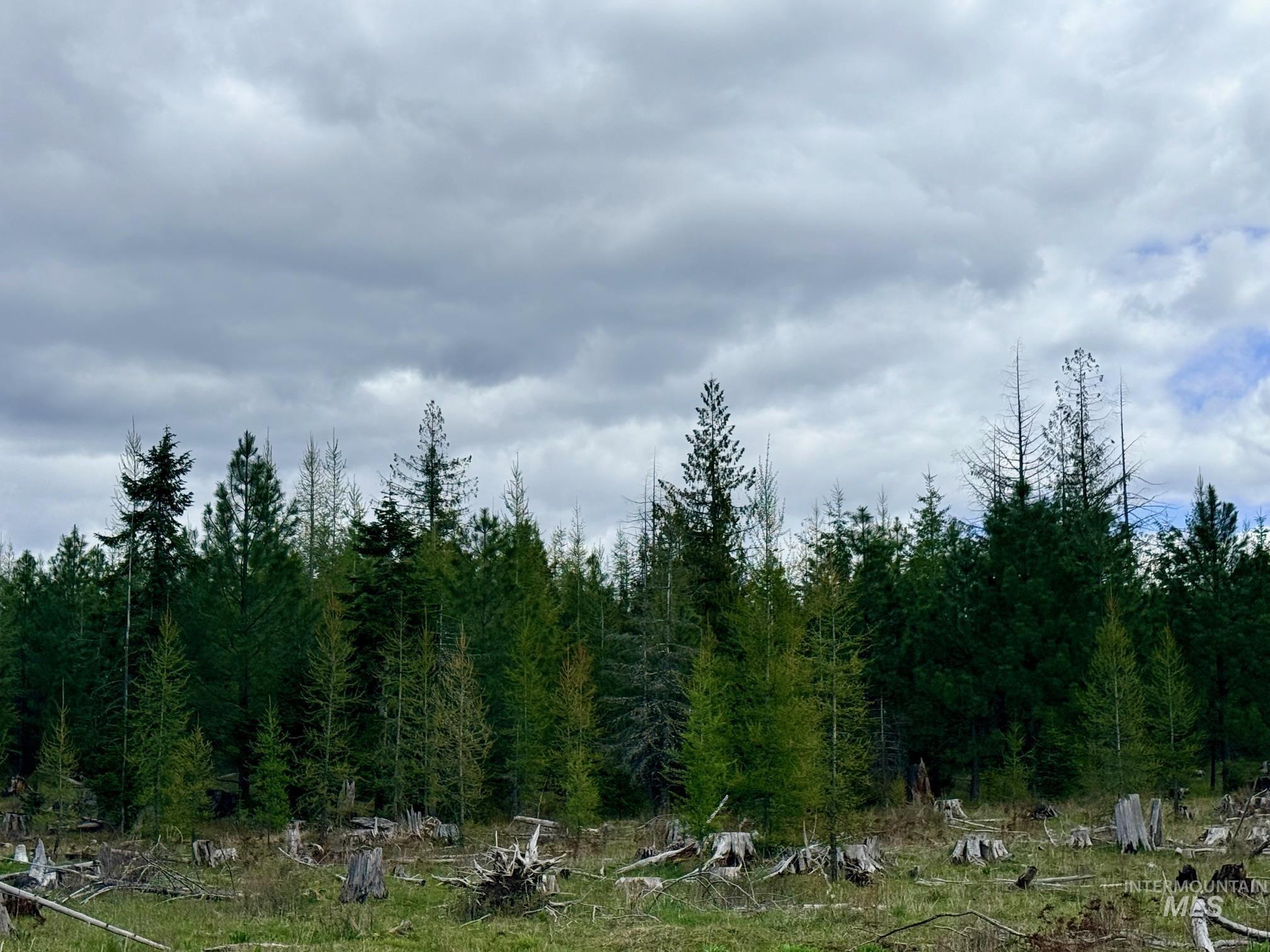 0 Wildwood Dr, Orofino, Idaho 83544, Land For Sale, Price $135,000, 98971745