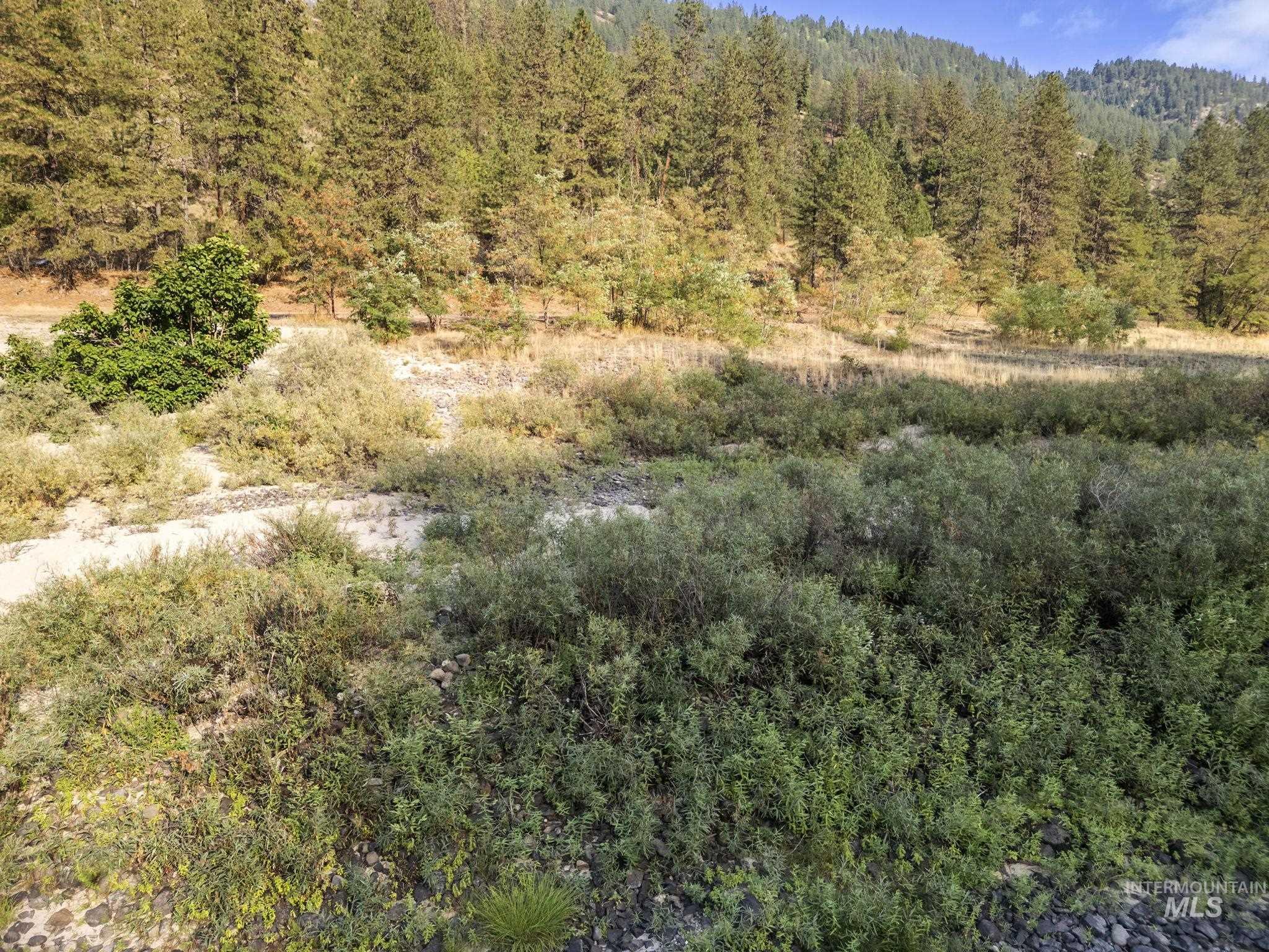 TBD Greer Road, Orofino, Idaho 83544, Land For Sale, Price $325,000,MLS 98971781