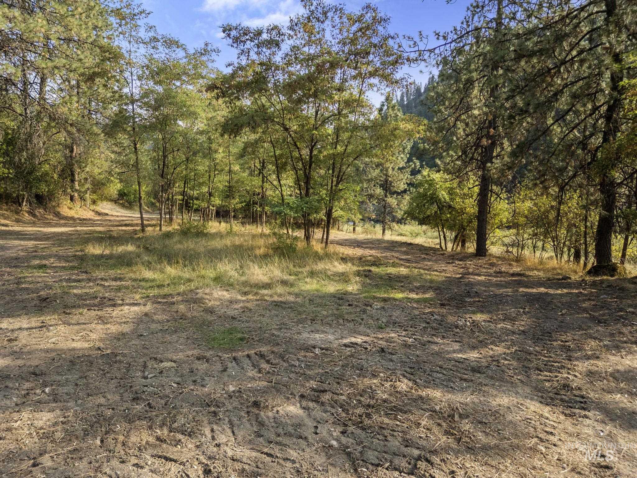 TBD Greer Road, Orofino, Idaho 83544, Land For Sale, Price $325,000,MLS 98971781