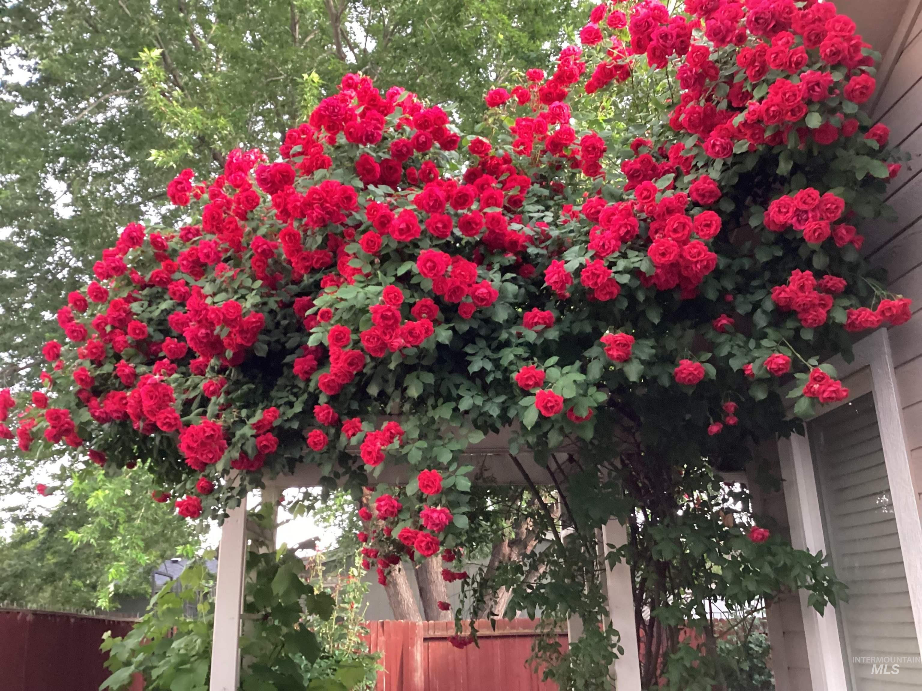 9249 W Carousel St, Boise, Idaho 83709, 3 Bedrooms, 2 Bathrooms, Residential For Sale, Price $459,900,MLS 98971801