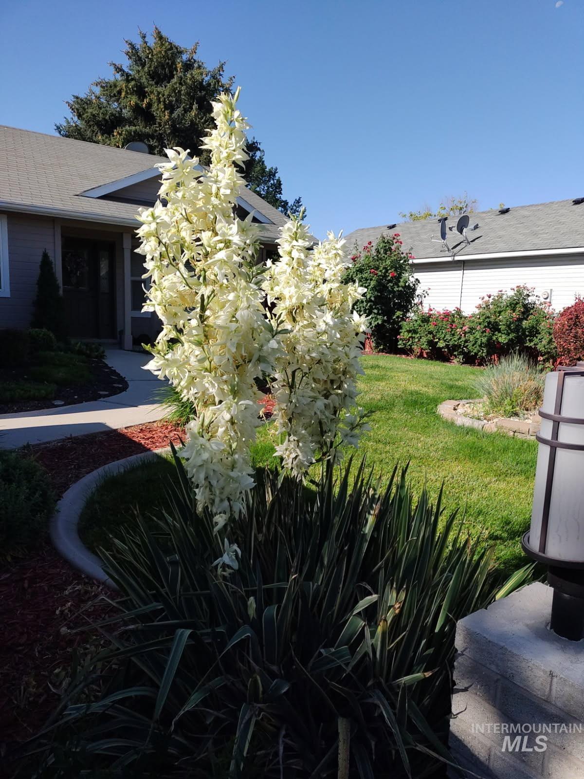 9249 W Carousel St, Boise, Idaho 83709, 3 Bedrooms, 2 Bathrooms, Residential For Sale, Price $459,900,MLS 98971801