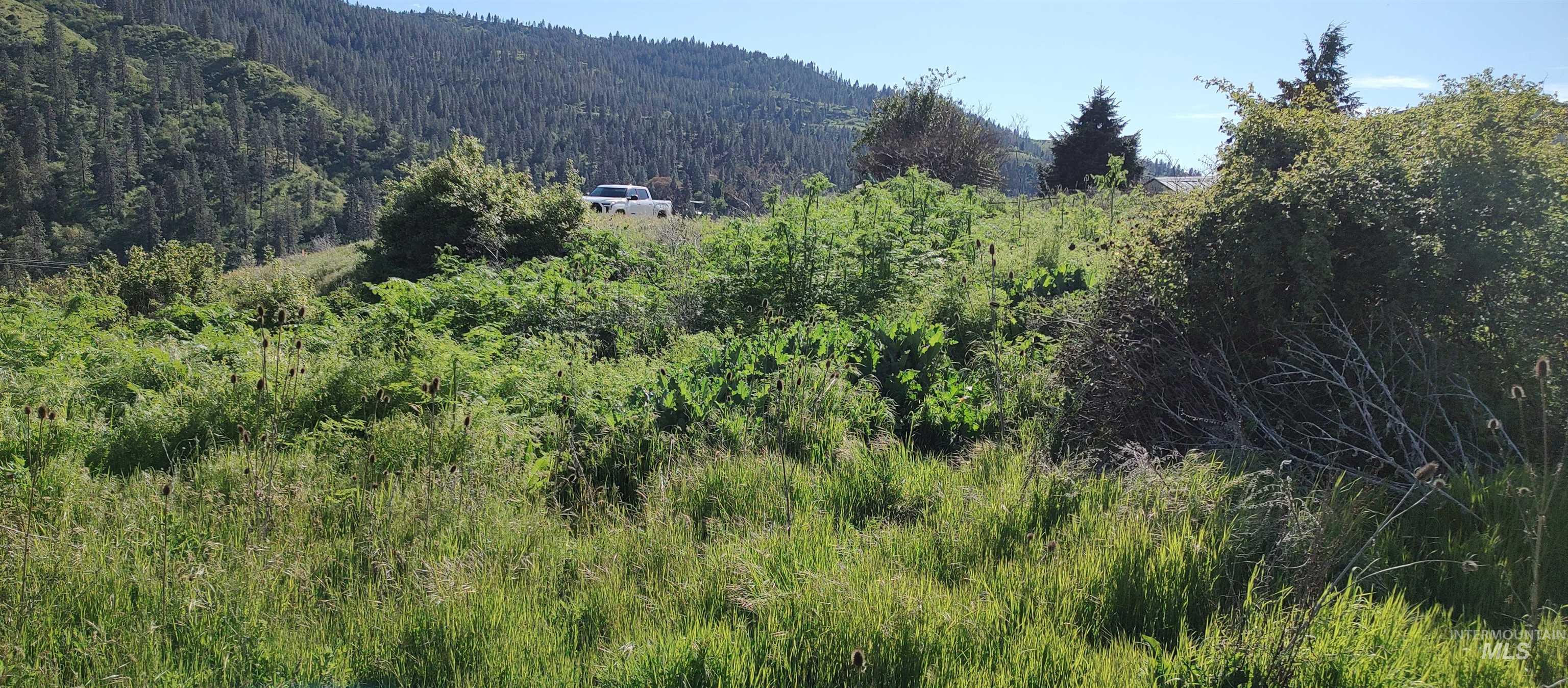 31803 Cherry Ranch Lane, Lenore, Idaho 83541-6028, 1 Bedroom, 1 Bathroom, Residential For Sale, Price $249,700,MLS 98971874