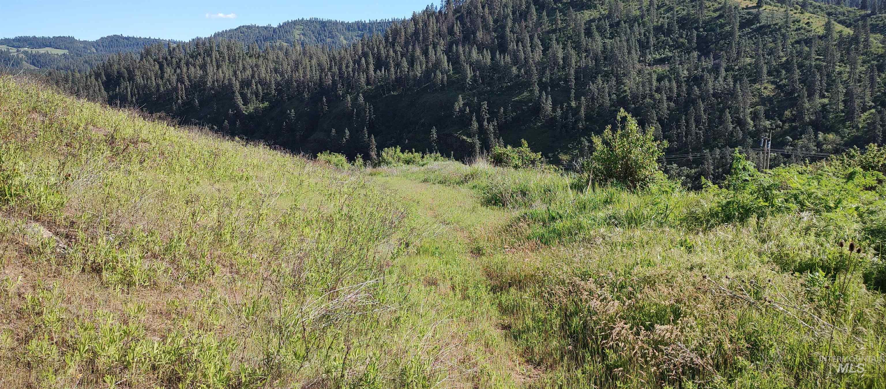 31803 Cherry Ranch Lane, Lenore, Idaho 83541-6028, 1 Bedroom, 1 Bathroom, Residential For Sale, Price $249,700,MLS 98971874