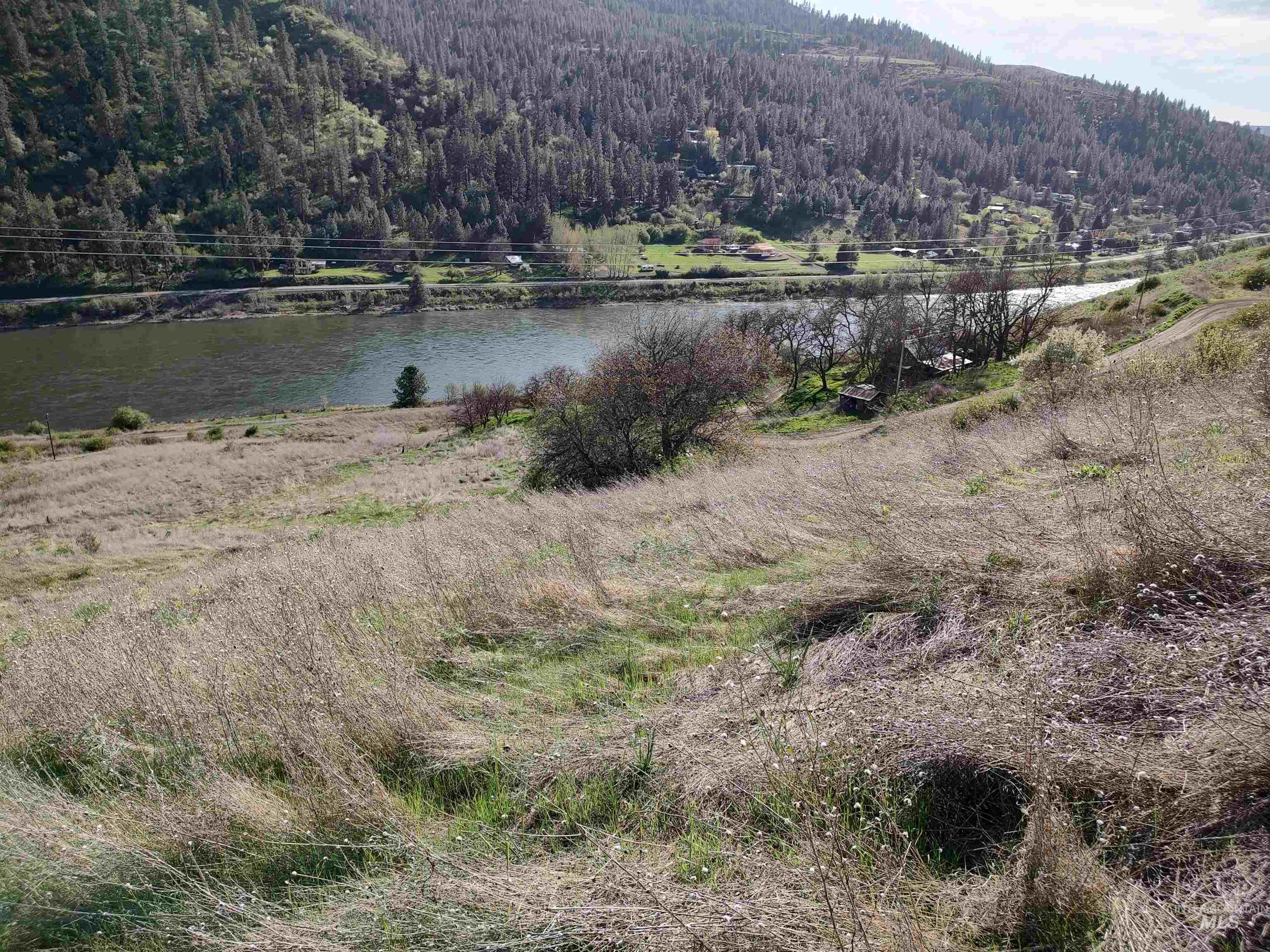 31803 Cherry Ranch Lane, Lenore, Idaho 83541-6028, 1 Bedroom, 1 Bathroom, Residential For Sale, Price $249,700,MLS 98971874