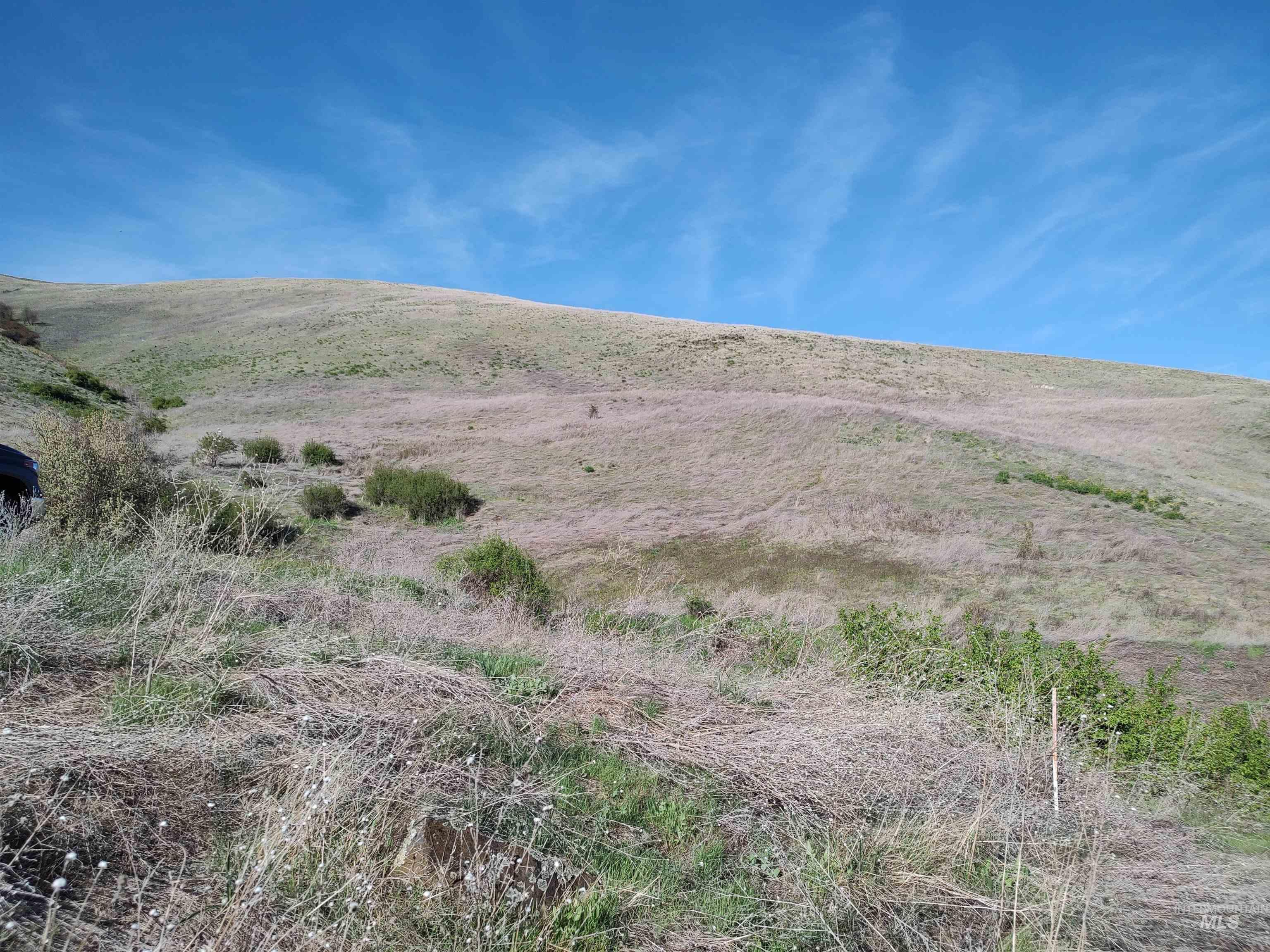 31803 Cherry Ranch Lane, Lenore, Idaho 83541-6028, 1 Bedroom, 1 Bathroom, Residential For Sale, Price $249,700,MLS 98971874